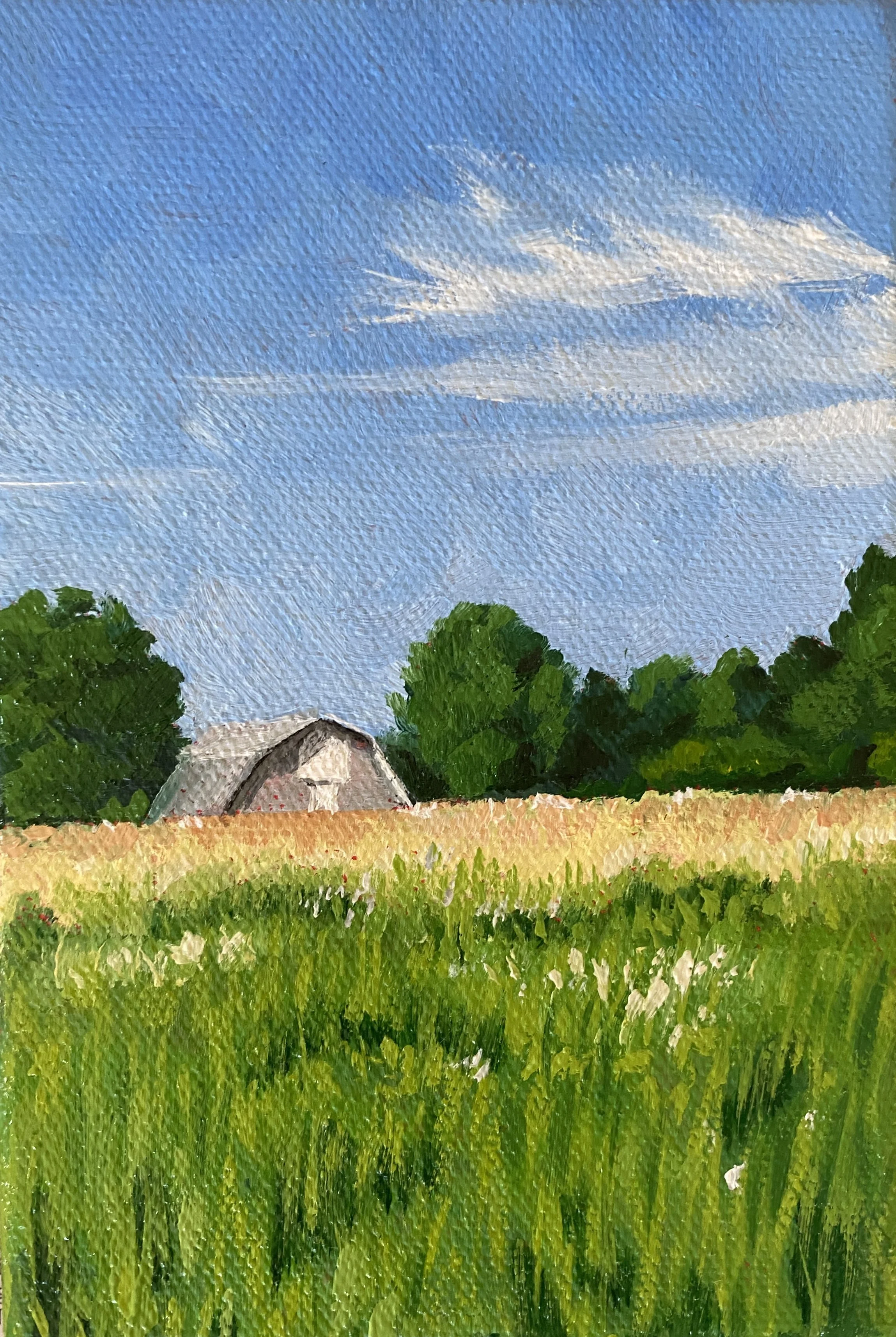 Barns of NY - July 9, 2022  6 x 6 in.  oil on canvas  2022 (sold)