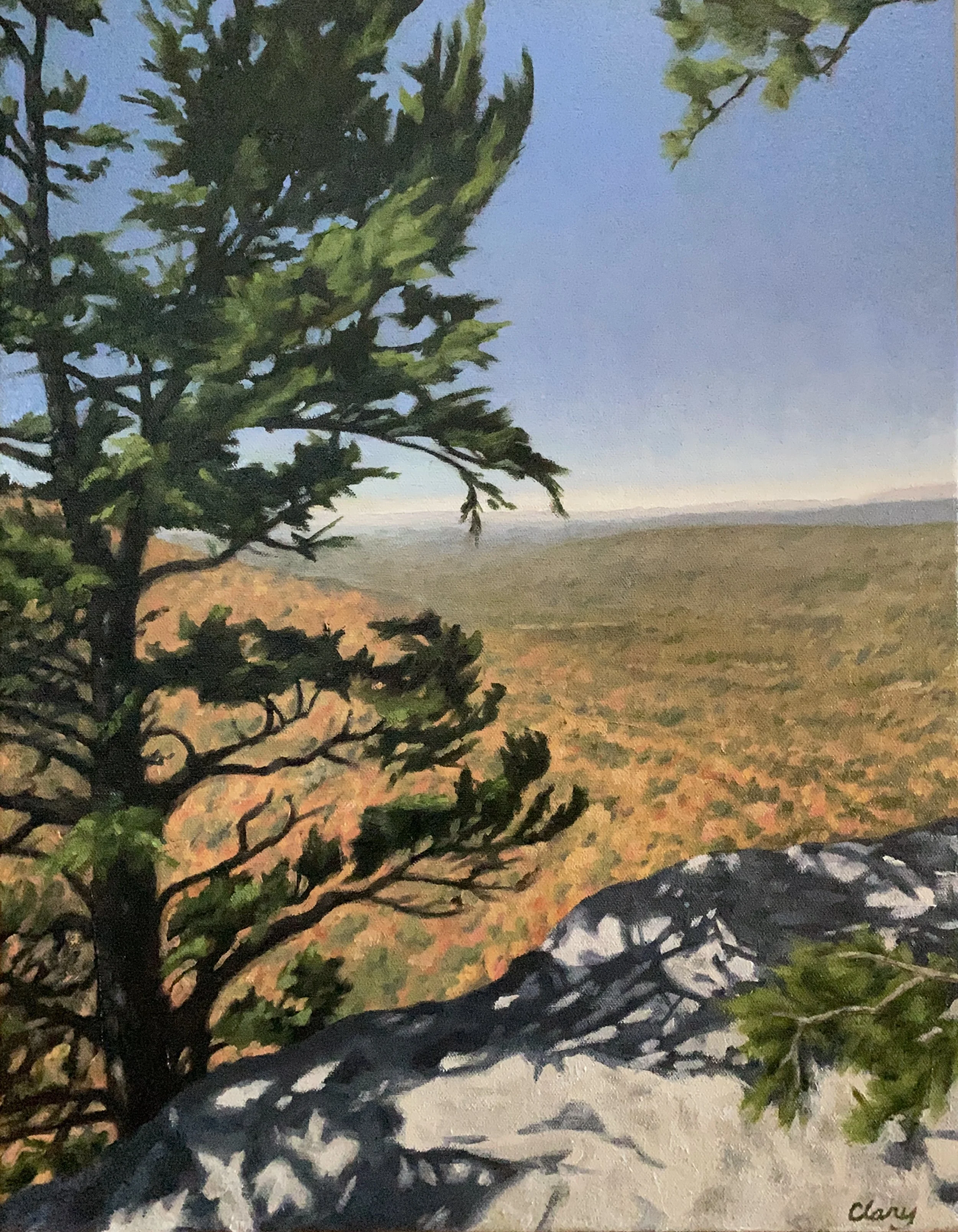View from Hanging Rock - November 3, 2018  1:28 pm  18 x 14 in.  oil on stretched canvas  2024  