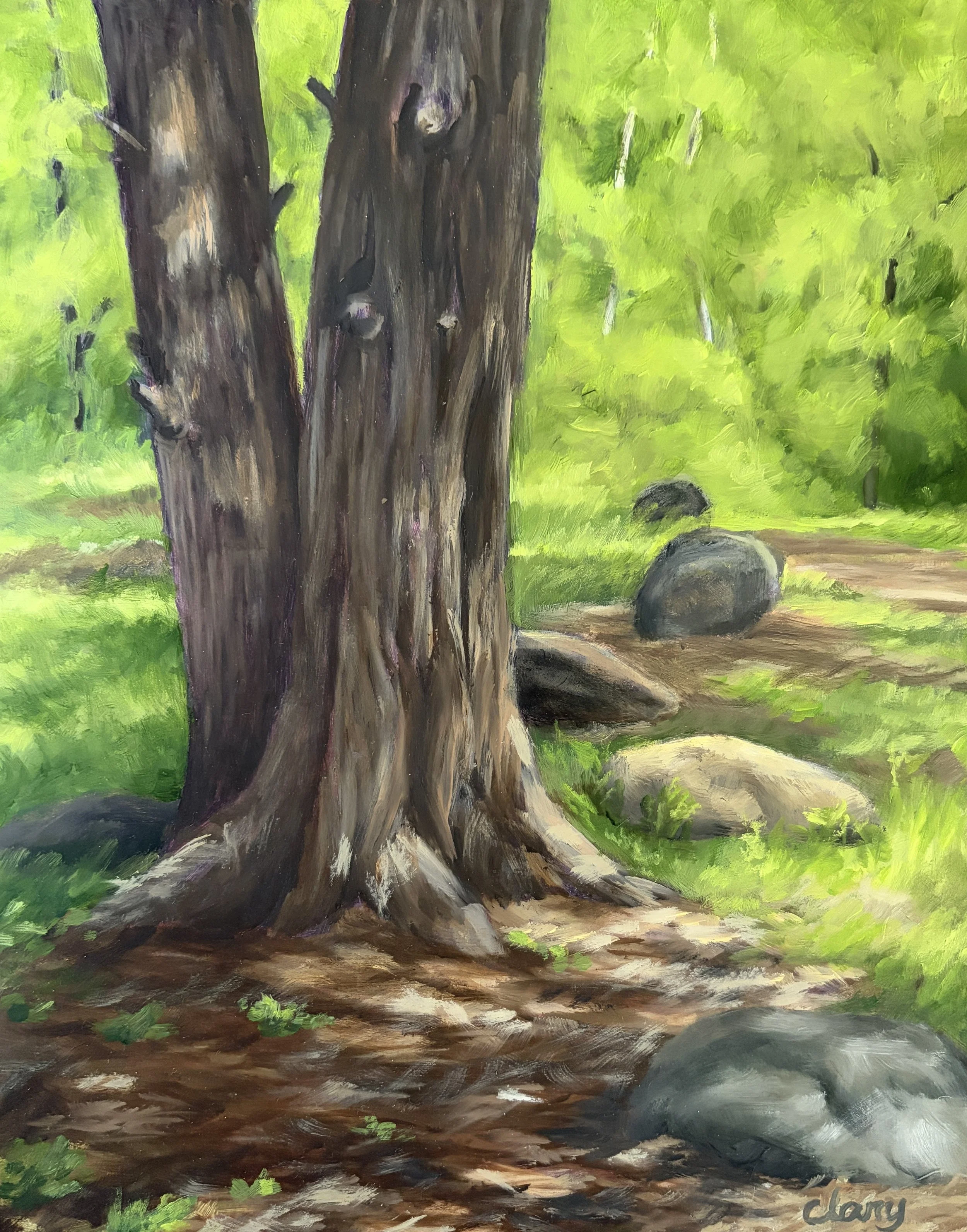 cedars at Duke Homestead  10 x 8  oil on panel, framed  2026