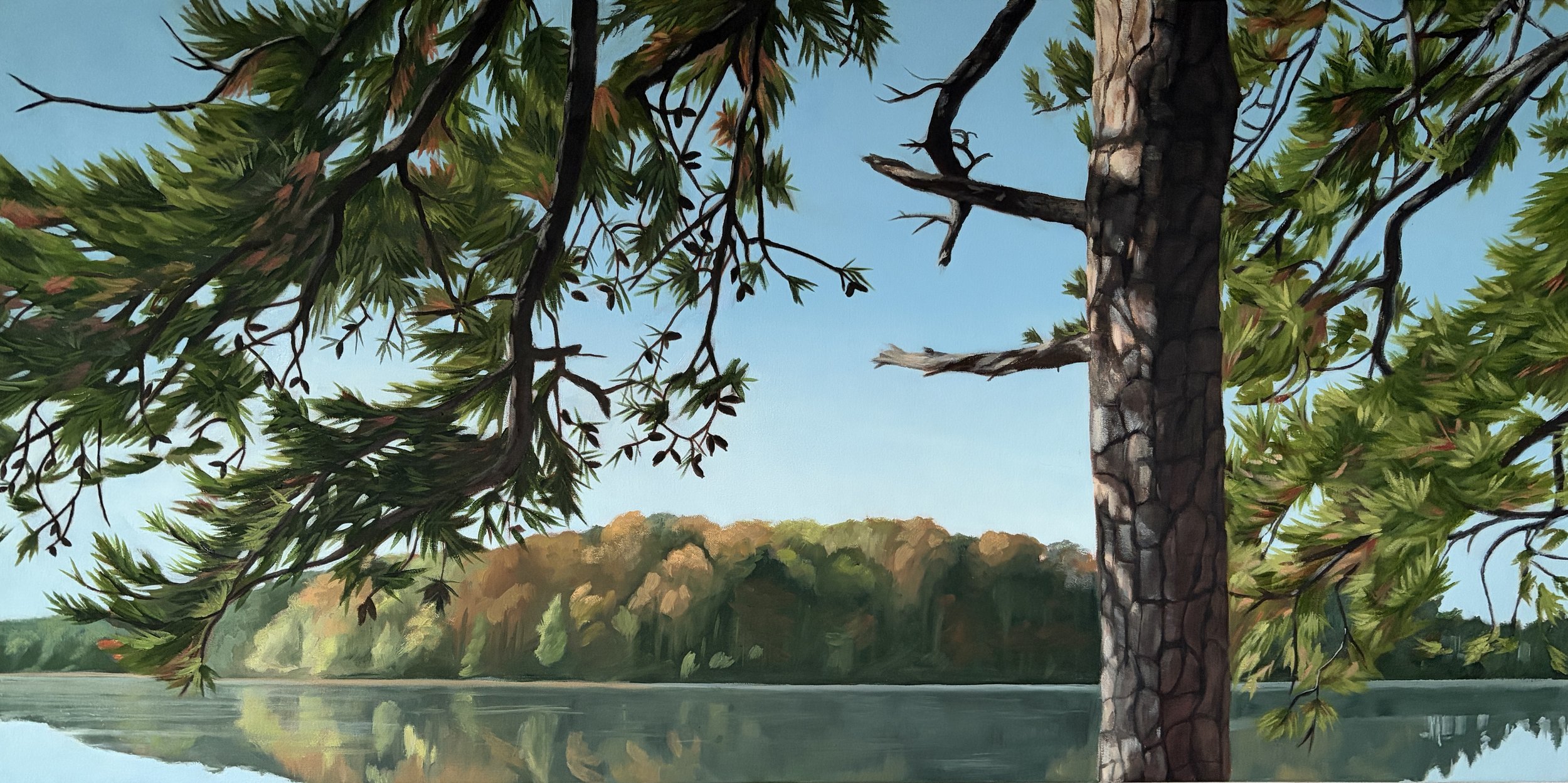 Across the lake   18 x 36 in.   $1500