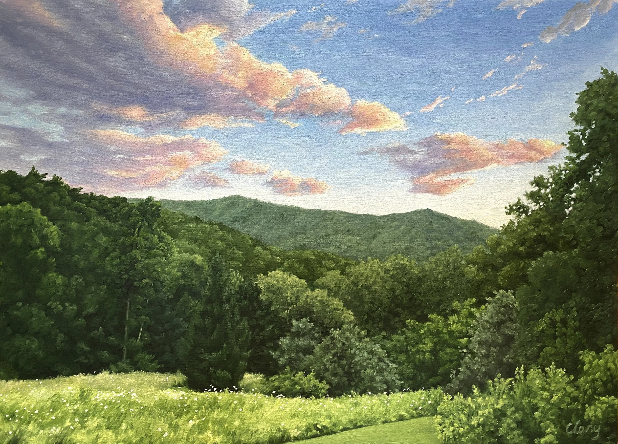 Blackberry sunset - July 31, 2023  8:30 pm  16 x 22 in.  oil on stretched canvas  2023  (NFS)