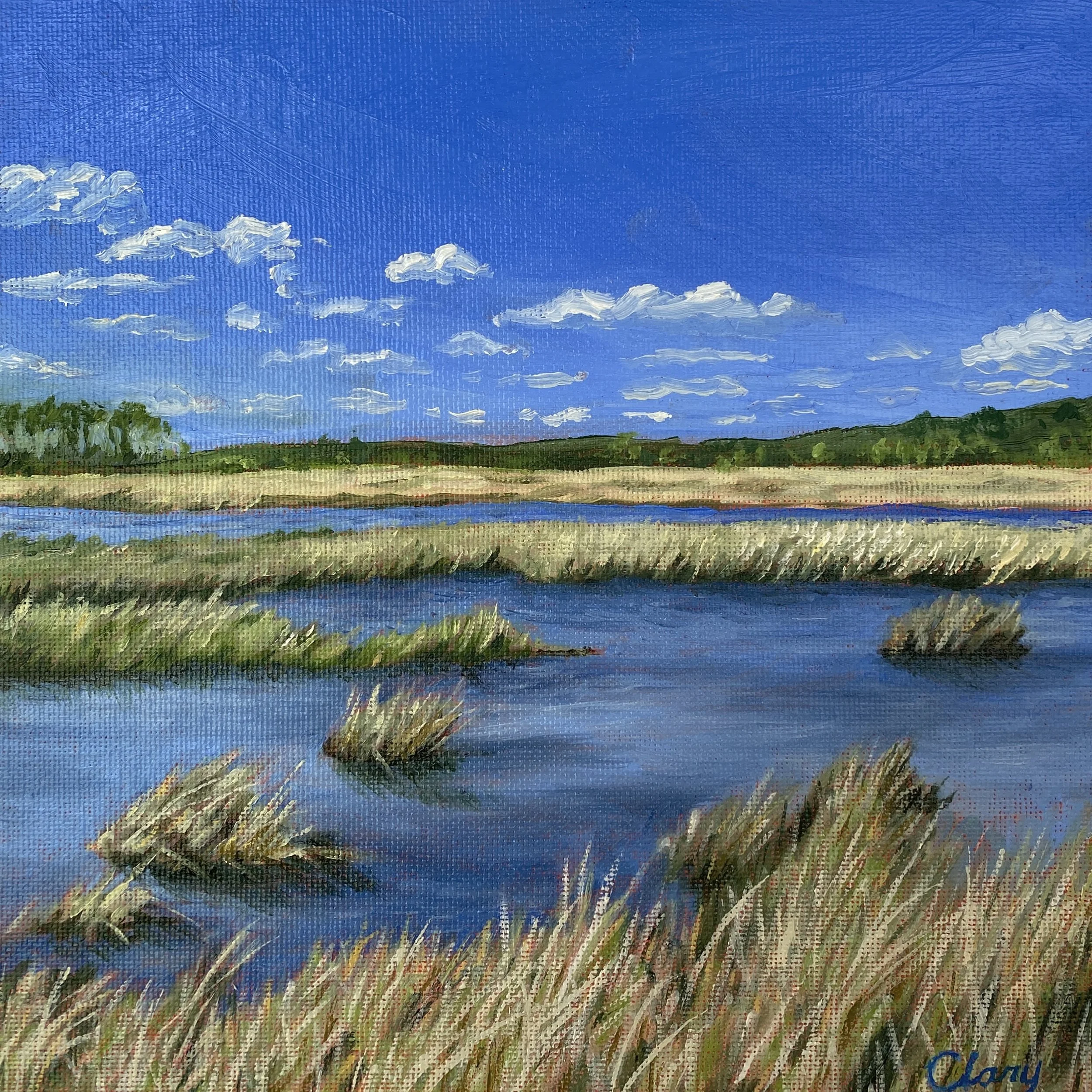Salt marsh in spring (Croatan National Forest) p April 8, 2022  4:08 pm  8 x 8 in.  oil on cradled panel  2022  (sold)