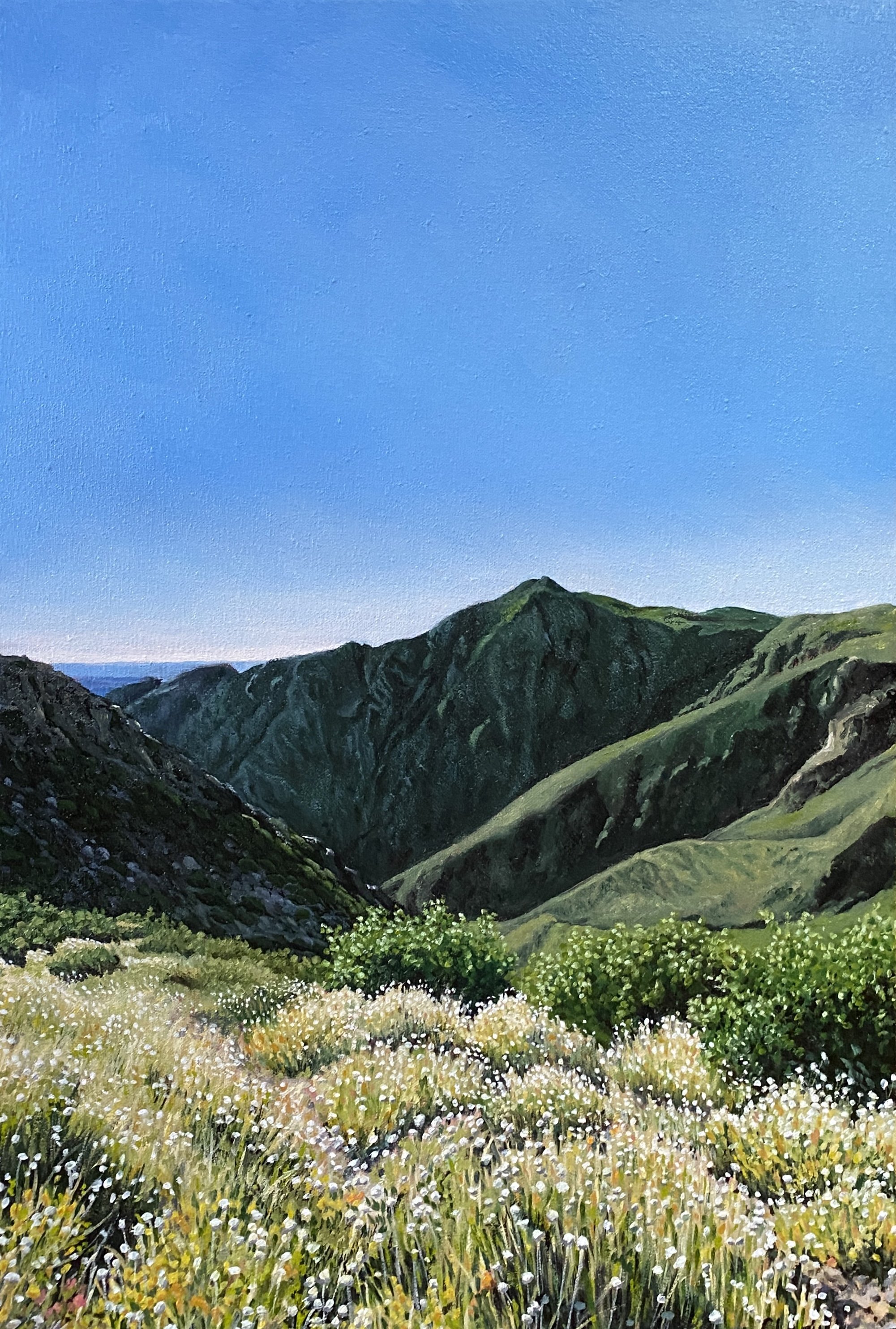 Sunrise hike, Laguna Mountains (CA) - June 19, 2022  7:15 am  18 x 12 in. oil on stretched canvas  2022  