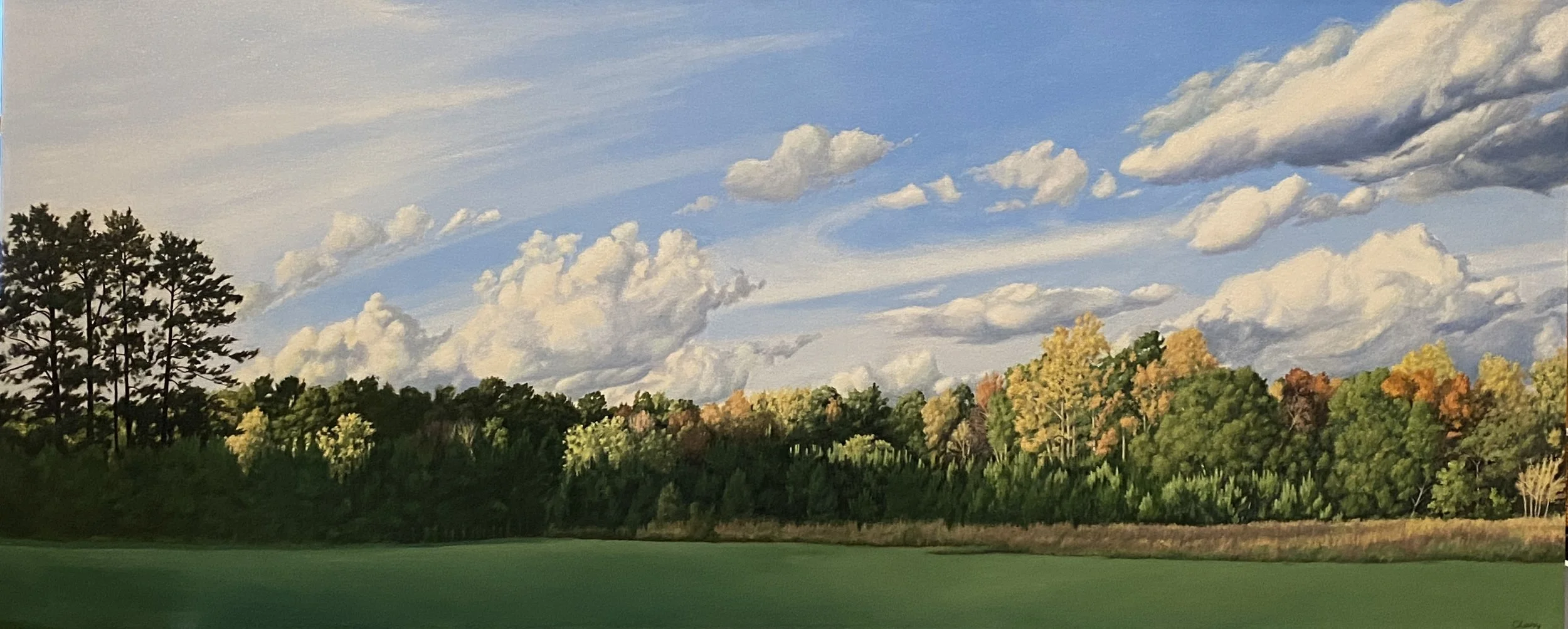 Autumn light  24 x 58 in.  These clients liked a painting of the field by our house, but it was too small for the space they had in mind. I made some changes to the image the second time around, resulting in a much stronger painting.
