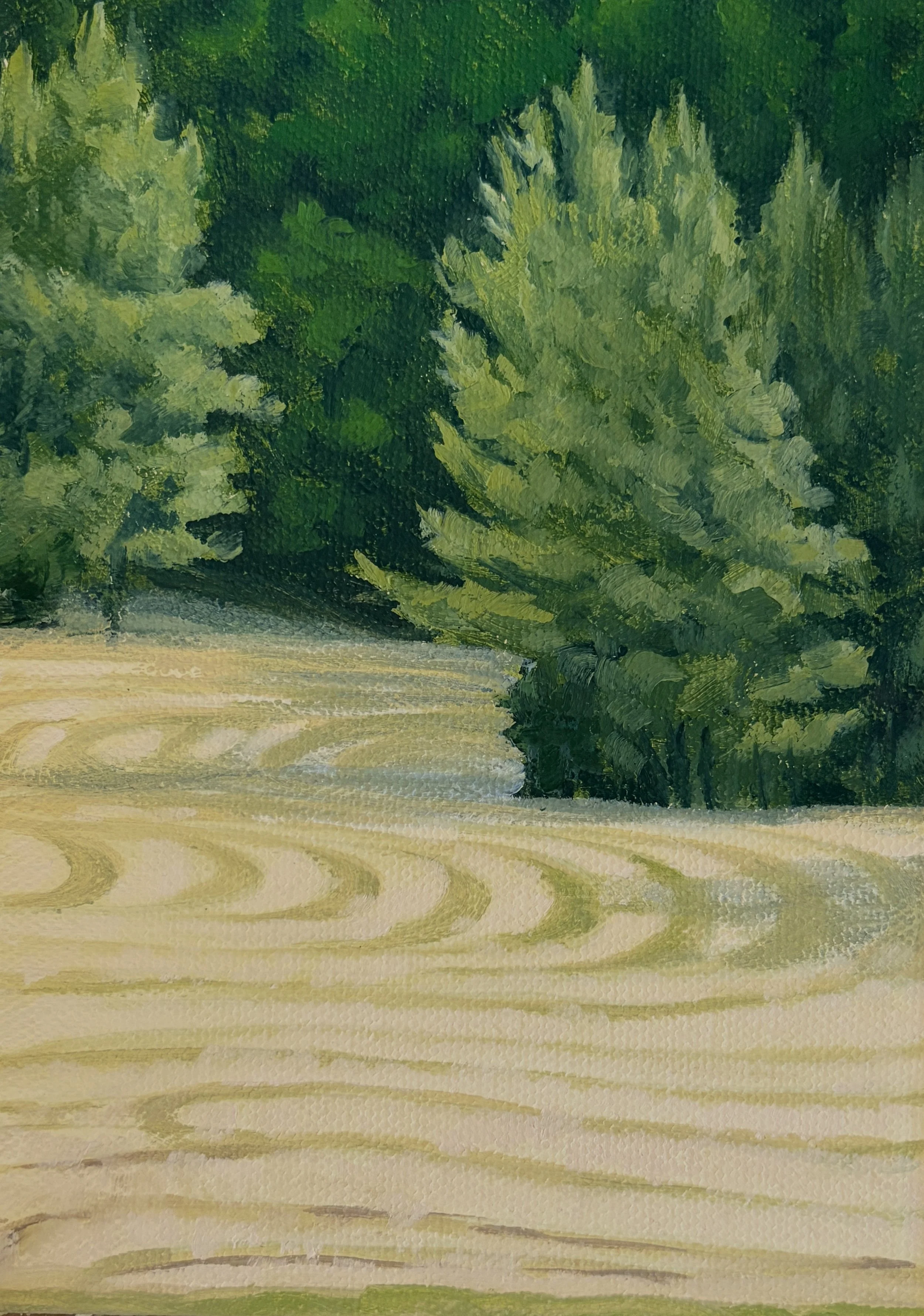 Field patterns  7 x 5 in.  $50