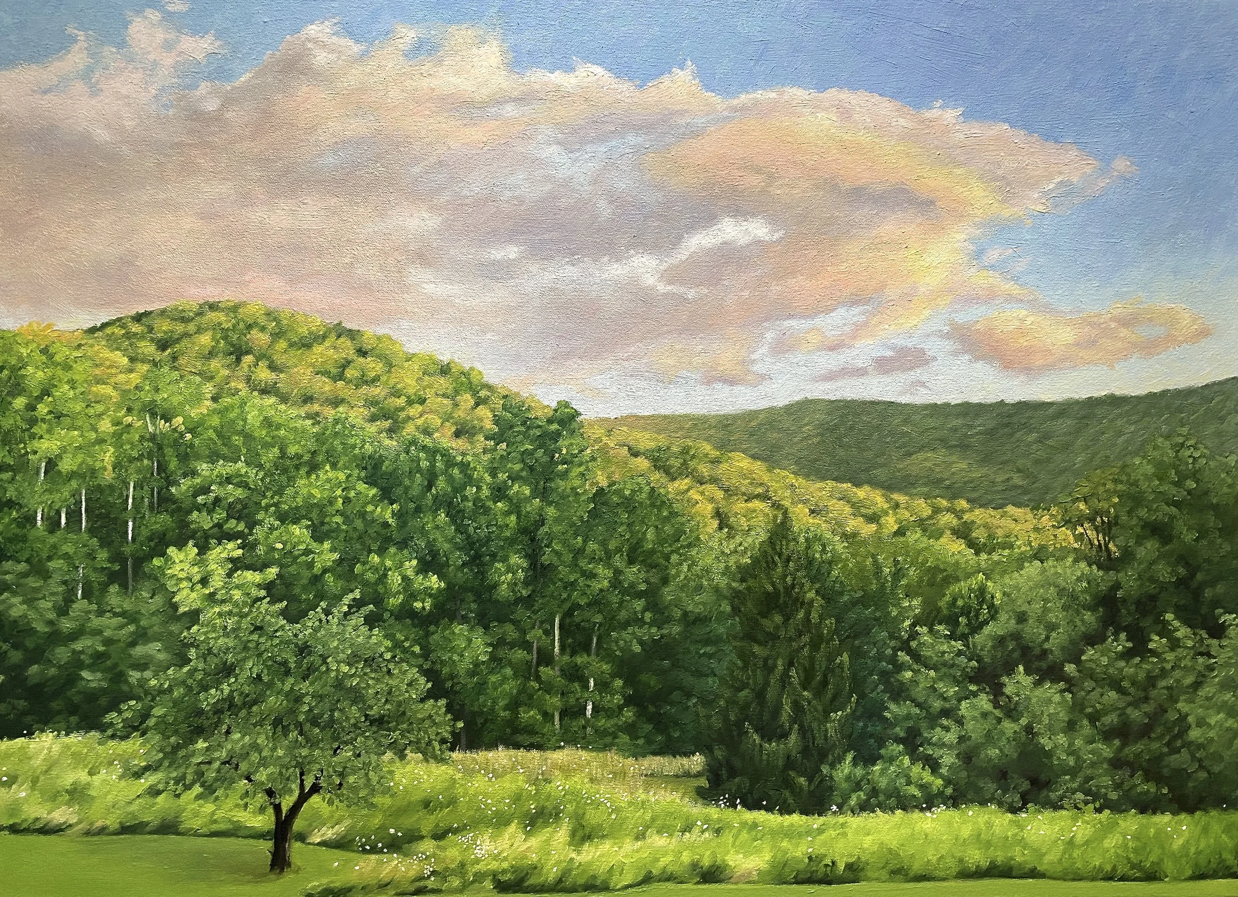 Orchard view at dusk (near Weaverville) July 30, 2023  8:22 pm  16 x 22 in.  oil on stretched canvas  2023  (NFS)