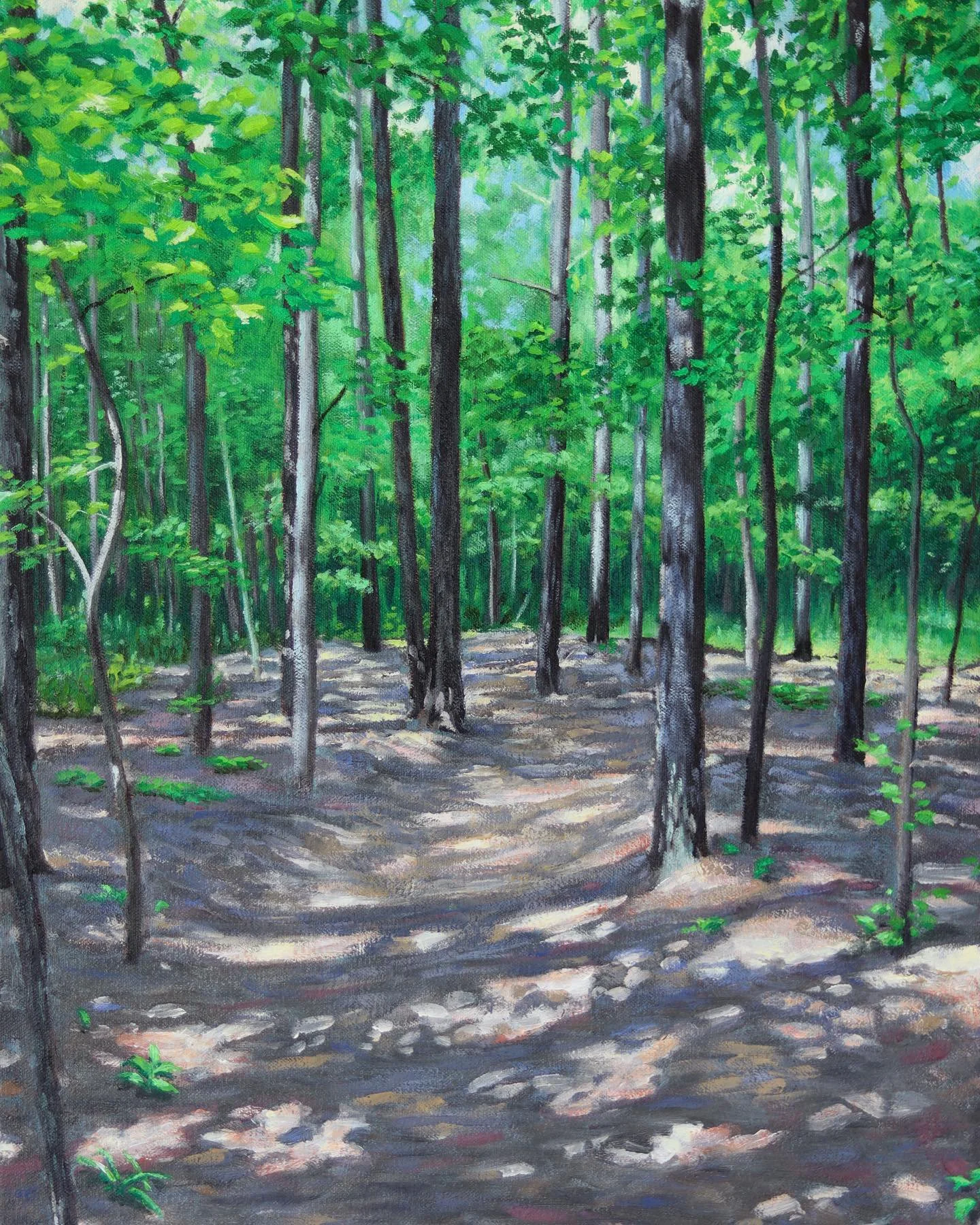 Path to Cox Mountain  June 24, 2021  10:32 am  oil on stretched canvas  2021