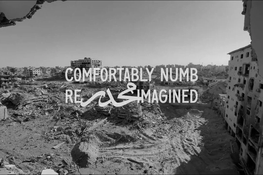Season 8, Episode 40: "Comfortably Numb" - with Roger Waters, Afshin Rattansi &amp; Garland Nixon