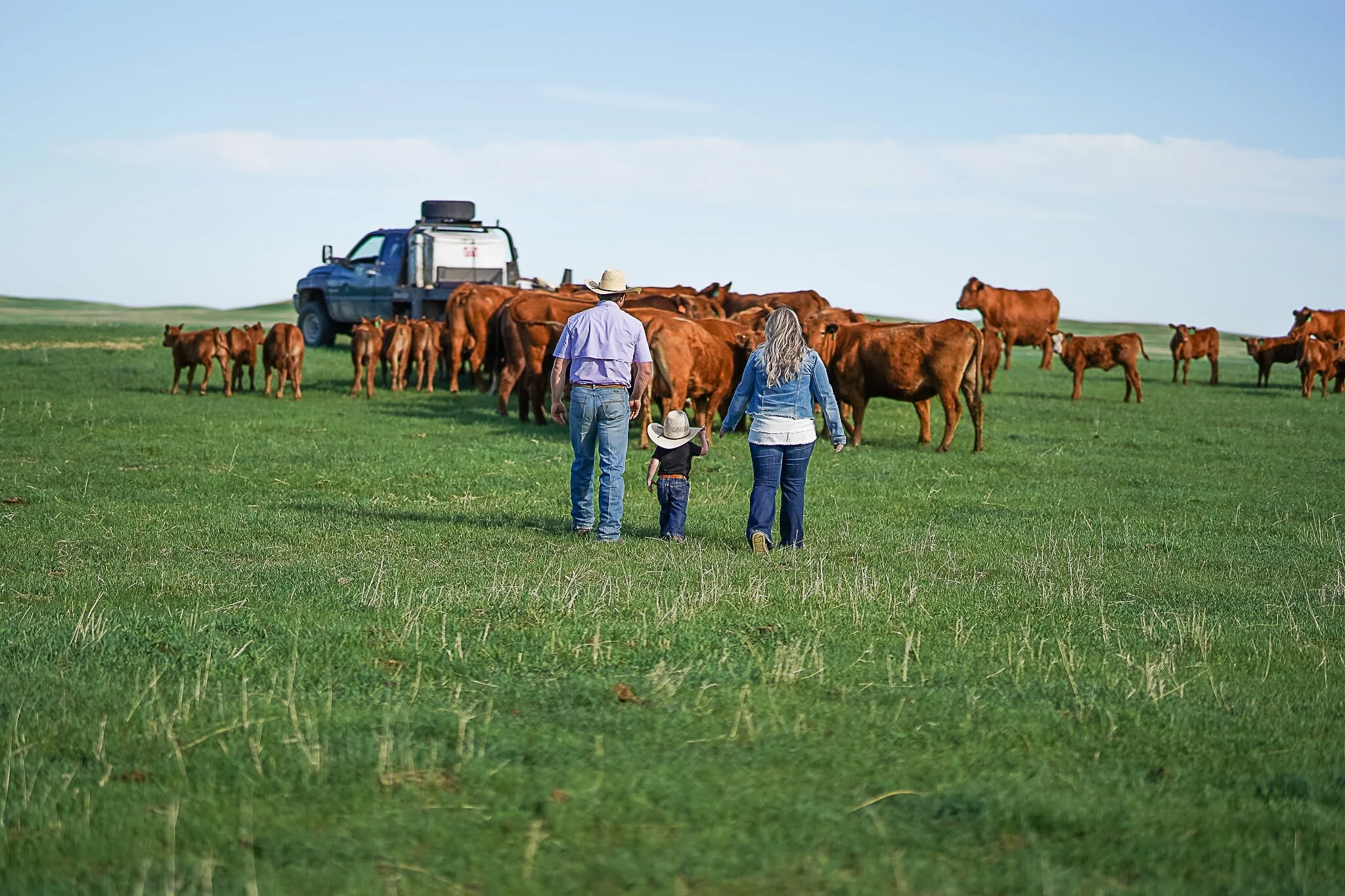 With Risk Comes Reward