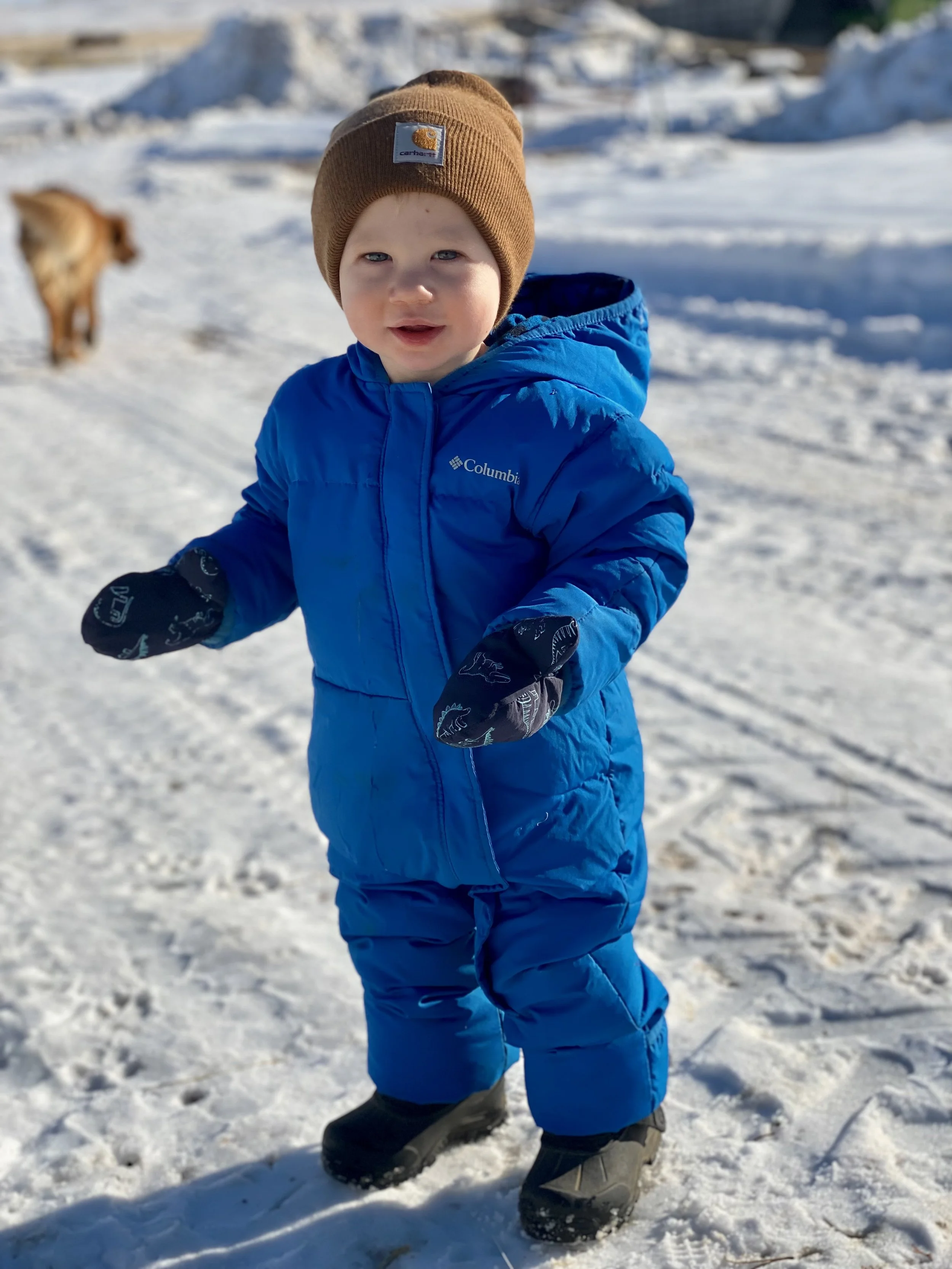 2022- A Winter to Remember