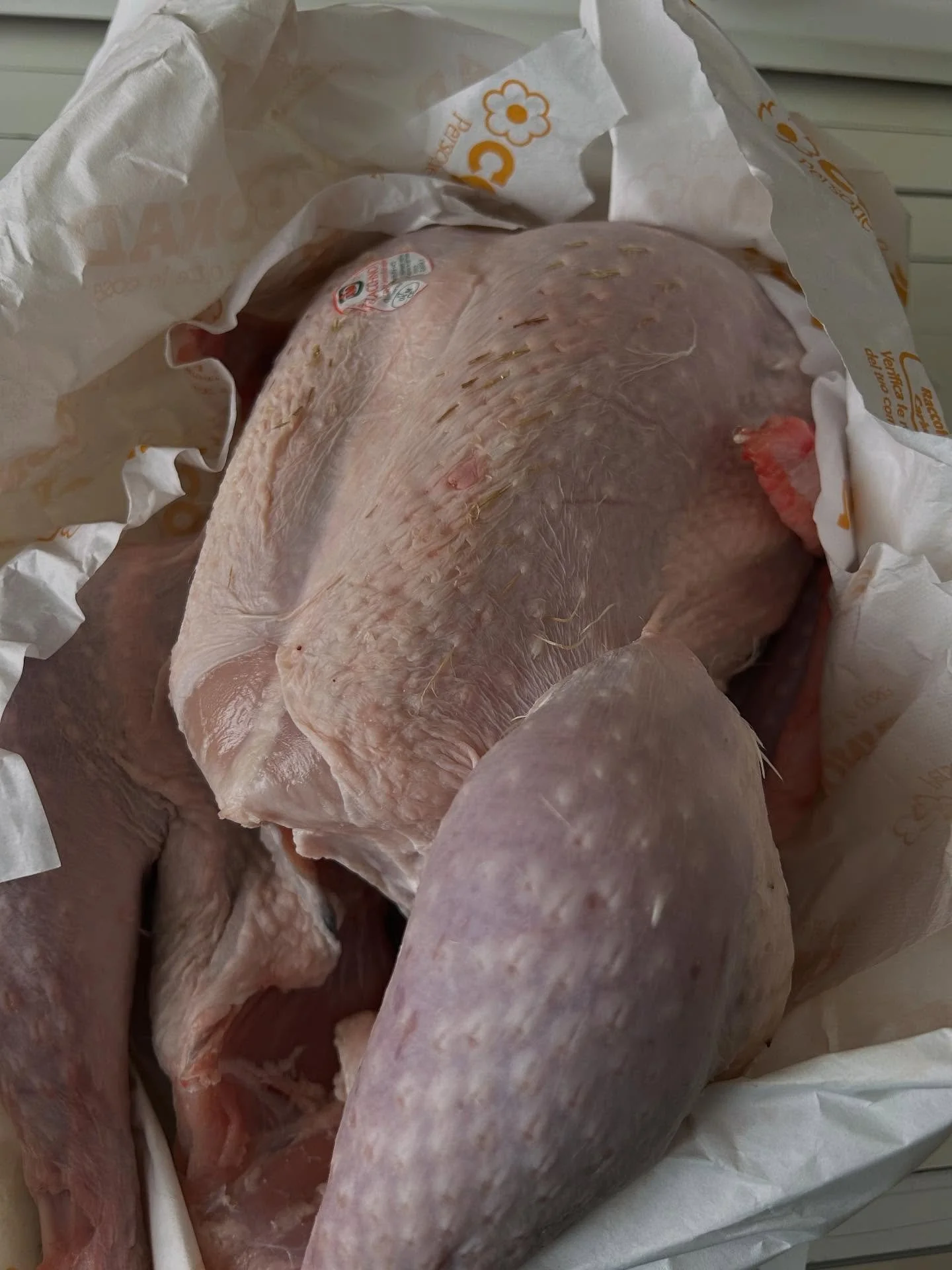 Fun fact: Turkey in the Burmese language is ကြက်ဆင် which literally translates to &ldquo;the elephant of chickens&rdquo; At 4,8 kilos this bird proves the point! #🦃 #🐘 #thanksgiving #trivia #turkeyday