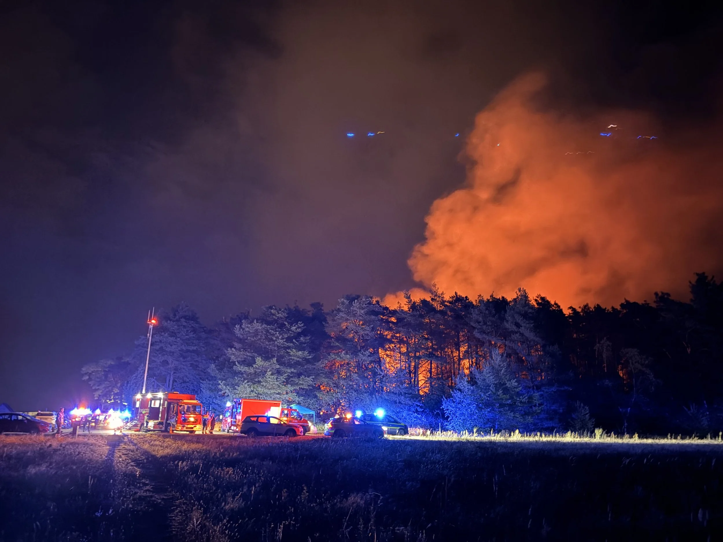 🔥 F3 Wald: Großeinsatz in der Nacht – Reitanlage Martinsee