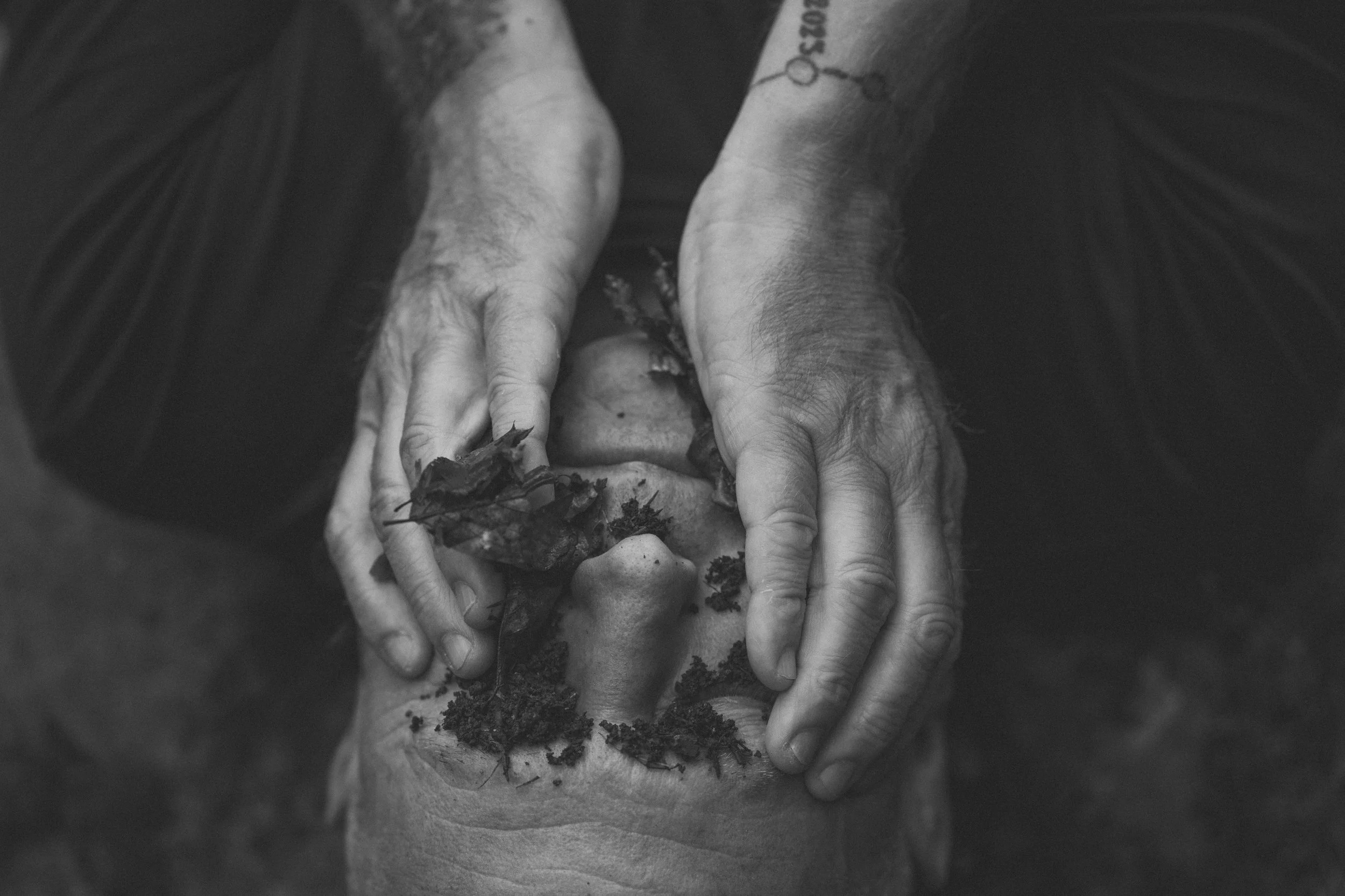 Visual Biography | Rainer II