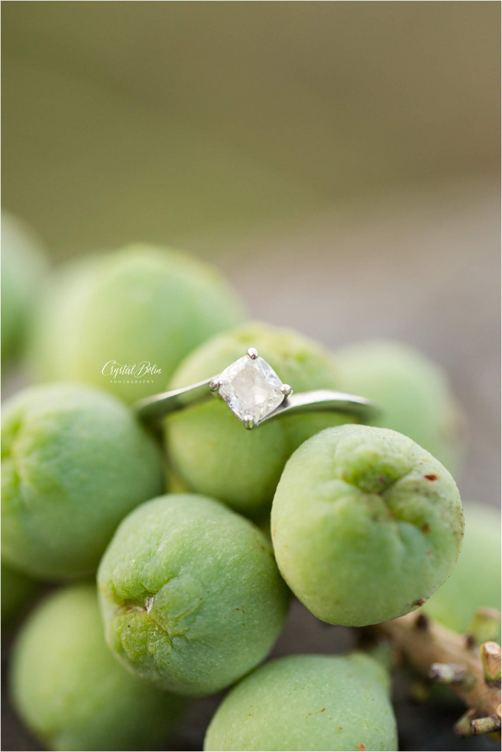 Red Reef Beach Engagement in Boca Raton, Florida