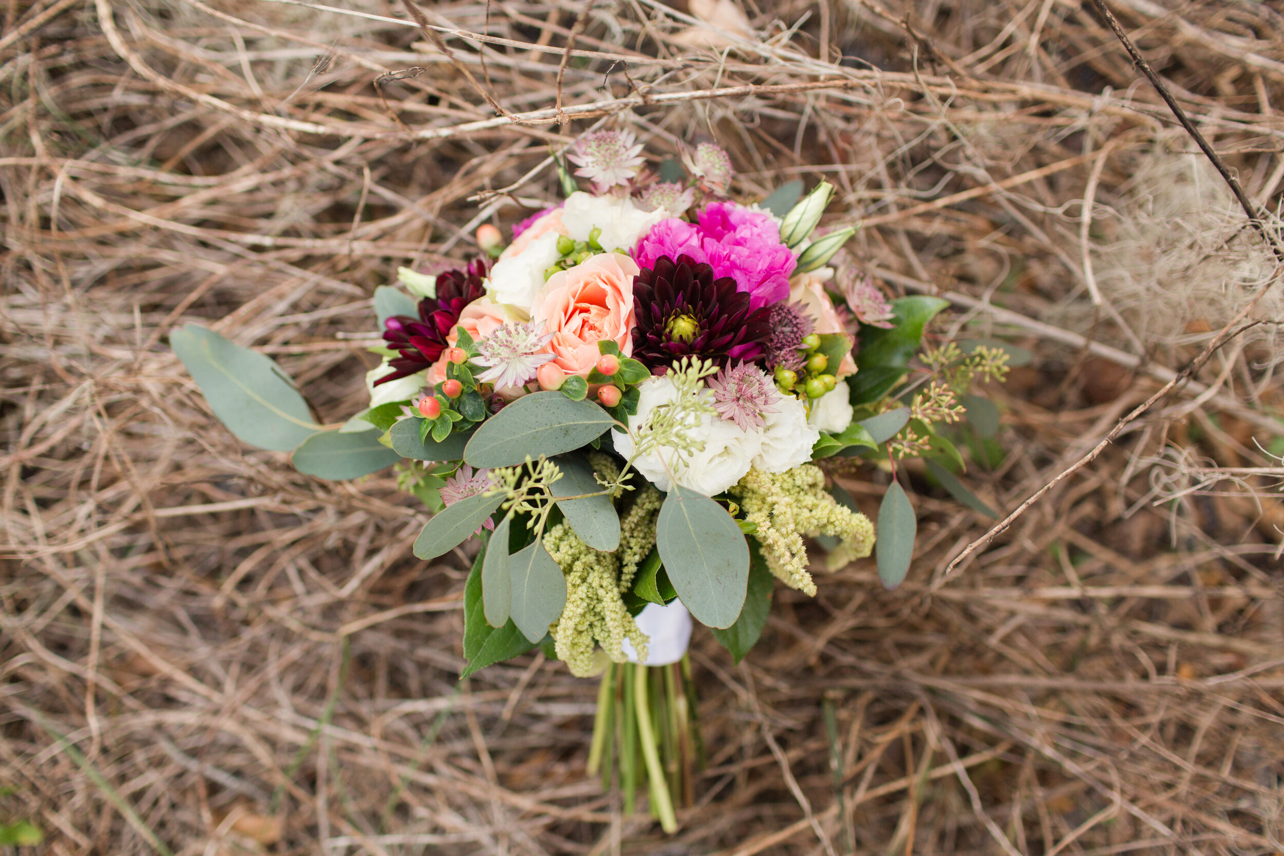 Romantic Wedding Anniversary at Riverbend Park in Jupiter, Flori