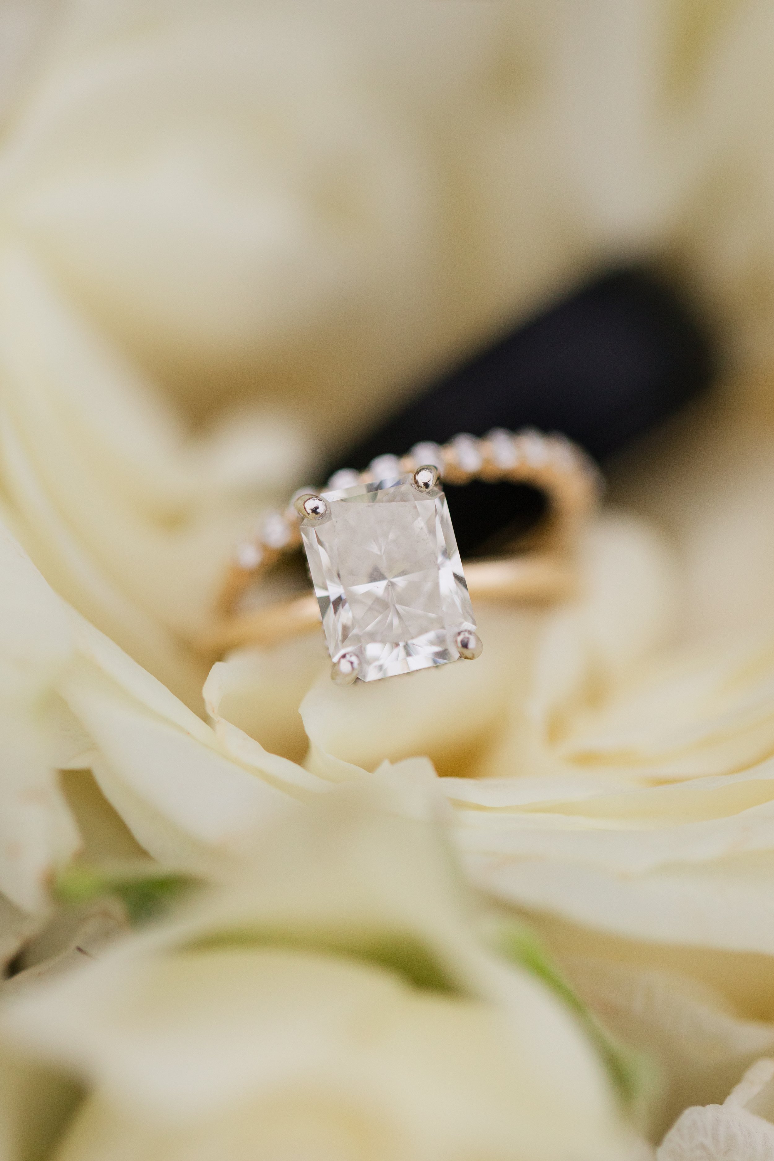 Crystal Bolin Photography-268.jpg