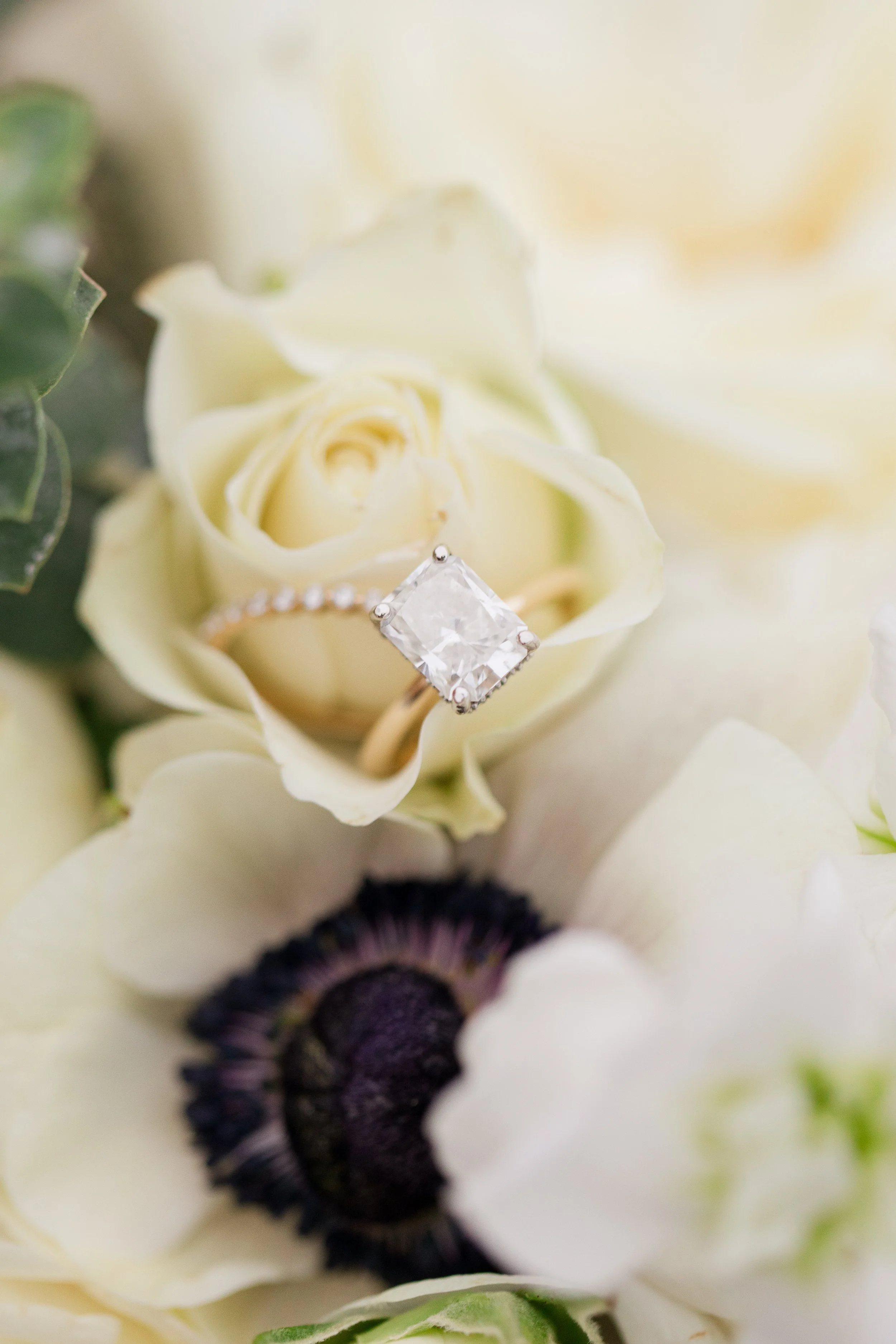 Crystal Bolin Photography-269.jpg