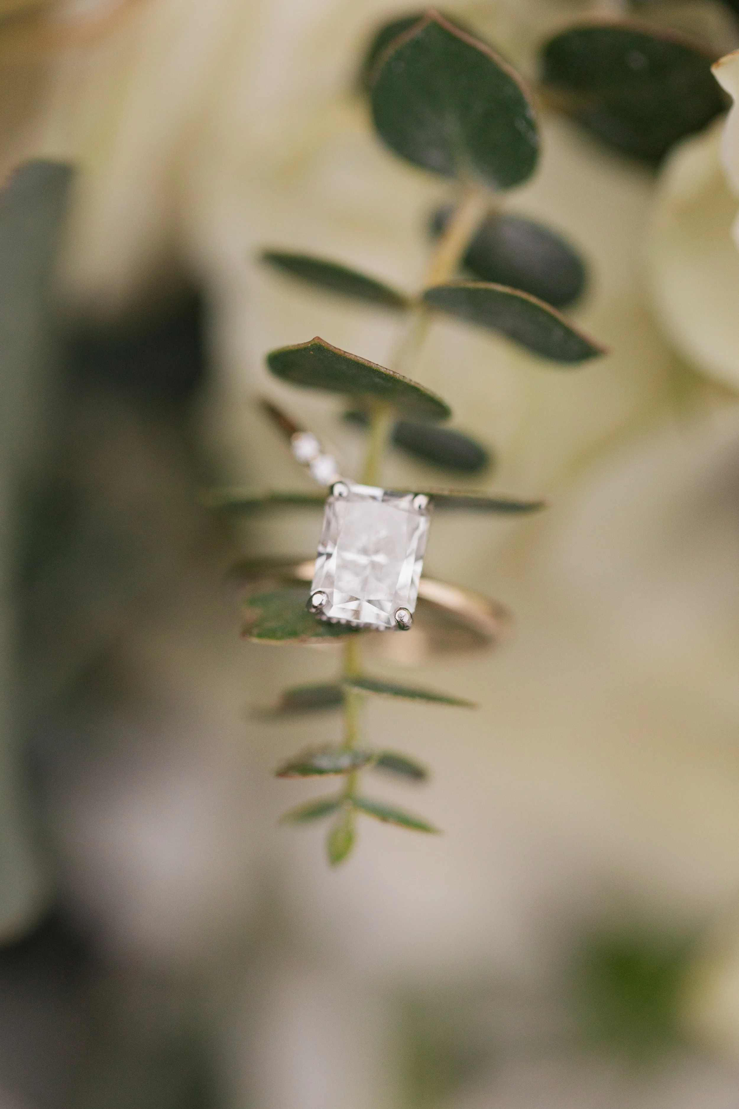 Crystal Bolin Photography-270.jpg