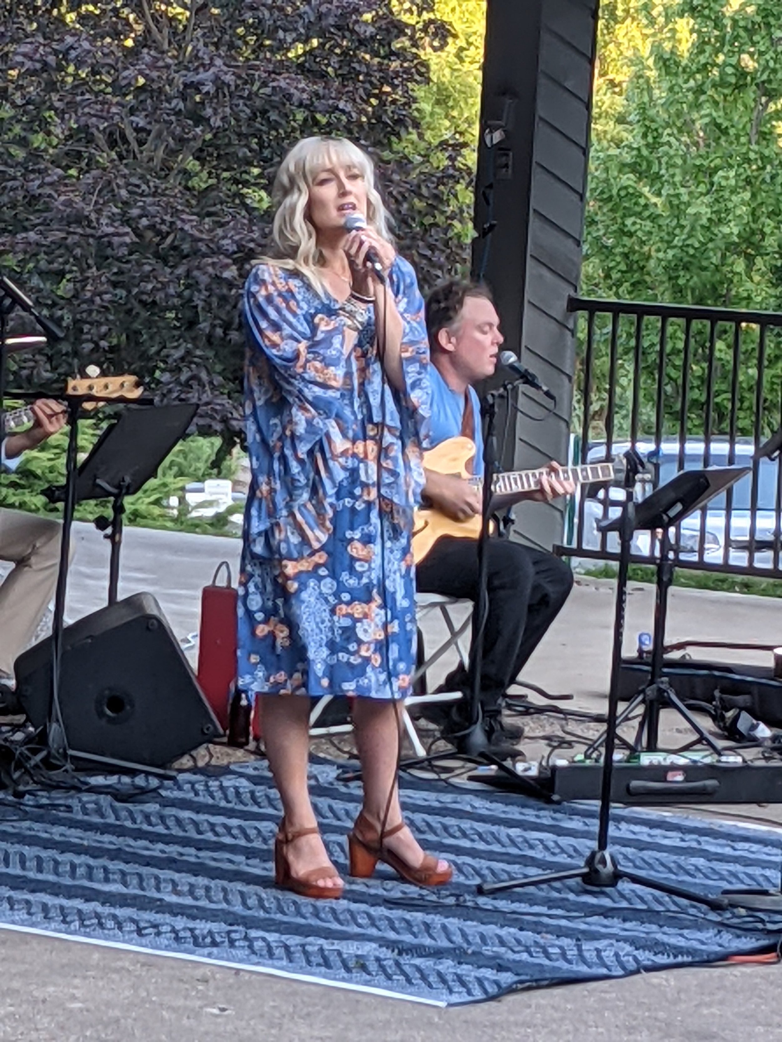 Amy Friedl and the Sky Line Band