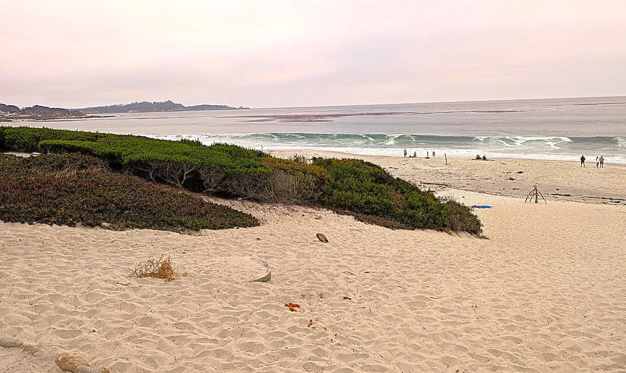 California’s Central Coast Offers Natural Beauty and an Attractive Lifestyle for Residents and Visitors