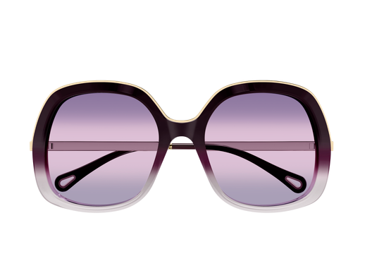 Captura de pantalla 2025-12-23 111655.png