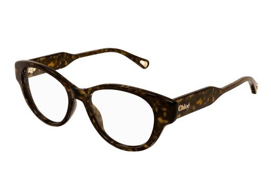 Captura de pantalla 2024-12-14 131505.jpg