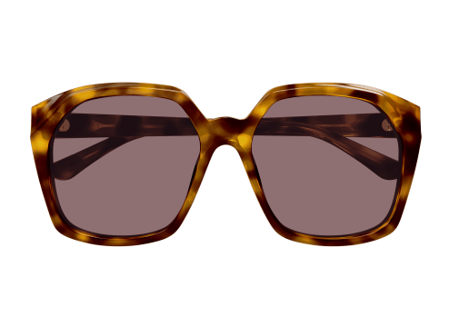 Captura de pantalla 2025-12-23 112925.png