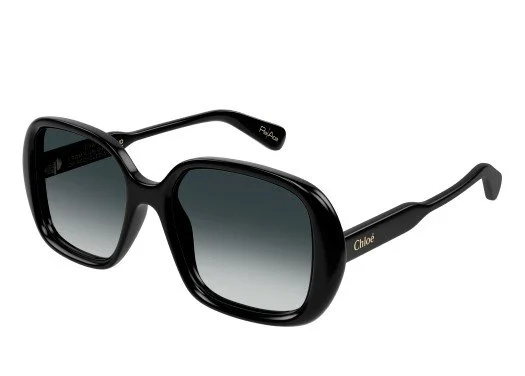 Captura de pantalla 2024-12-14 132601.jpg