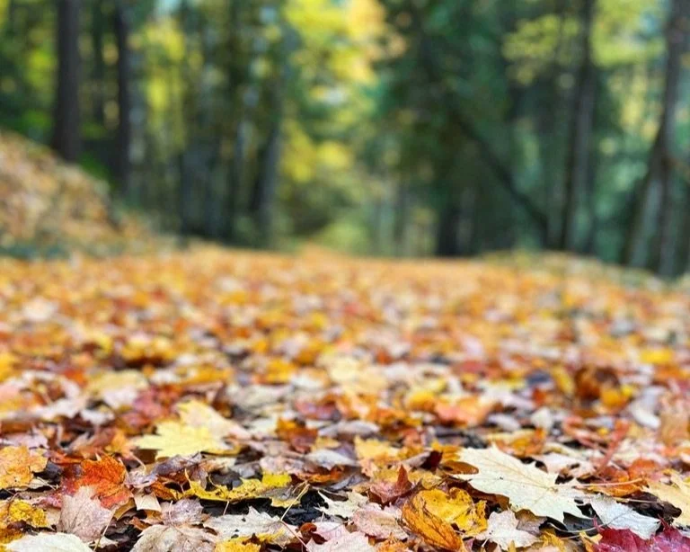 when sleeping teenagers tested my morning habits