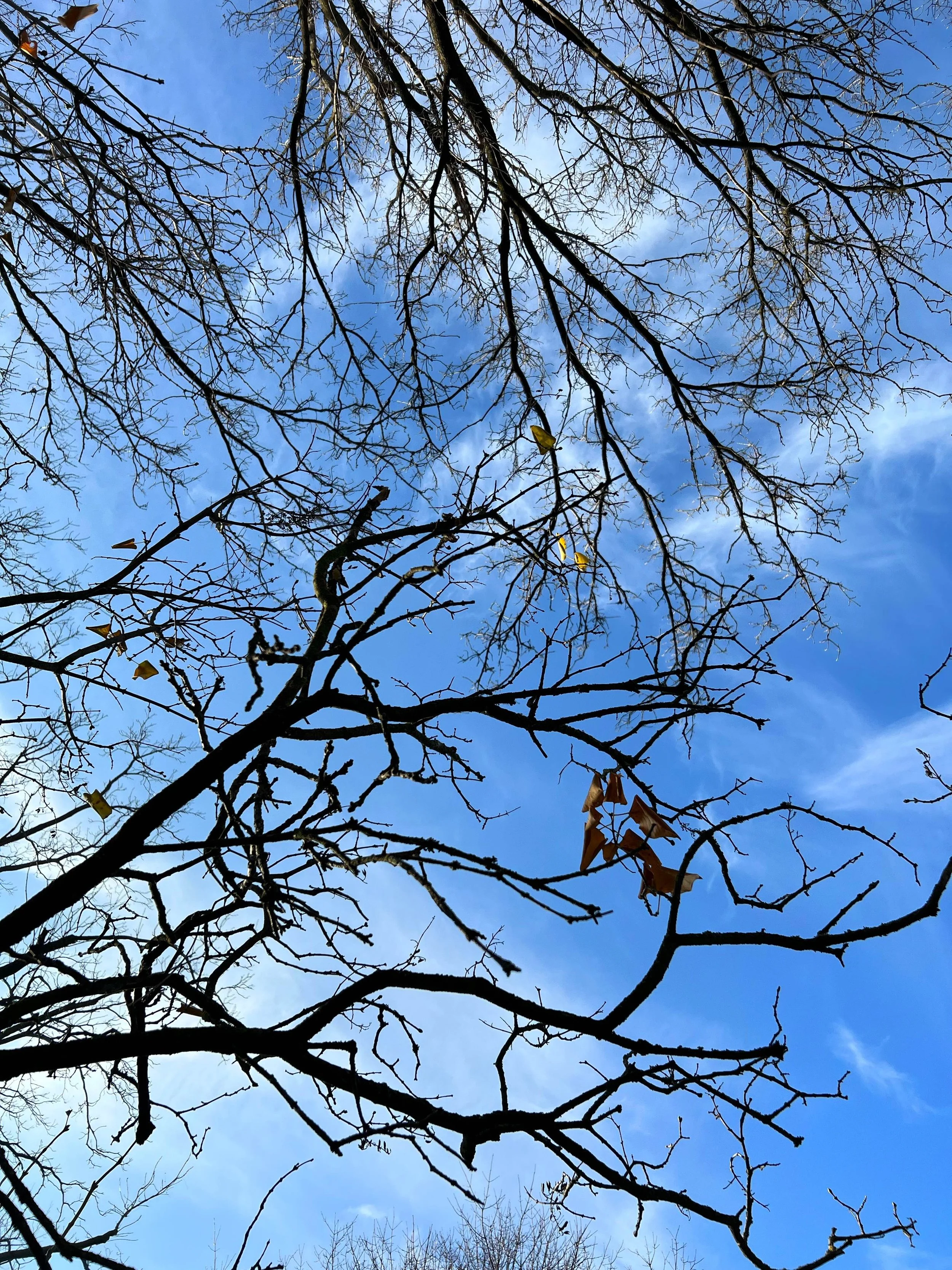 on thriving amidst holiday chaos