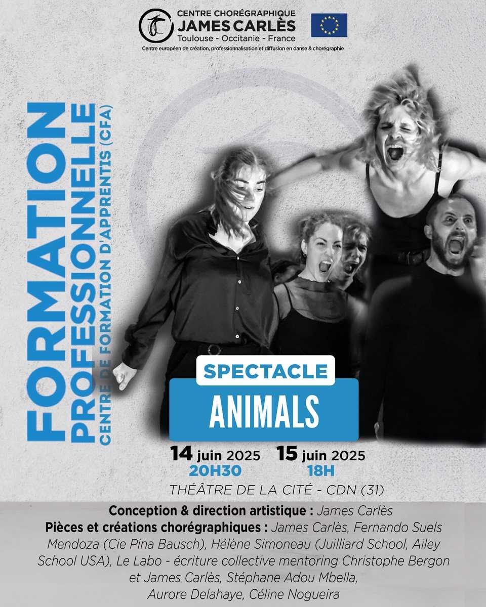 Spectacle Animals - Centre Chorégraphique James Carlès