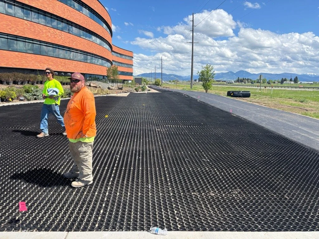 Barnard Grasspave.jpg