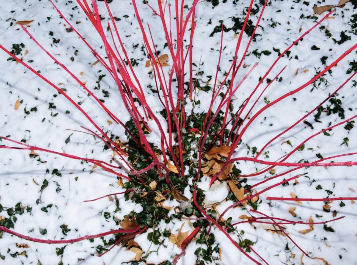 Screenshot 2026-03-30 at 7.46.00 AM.png