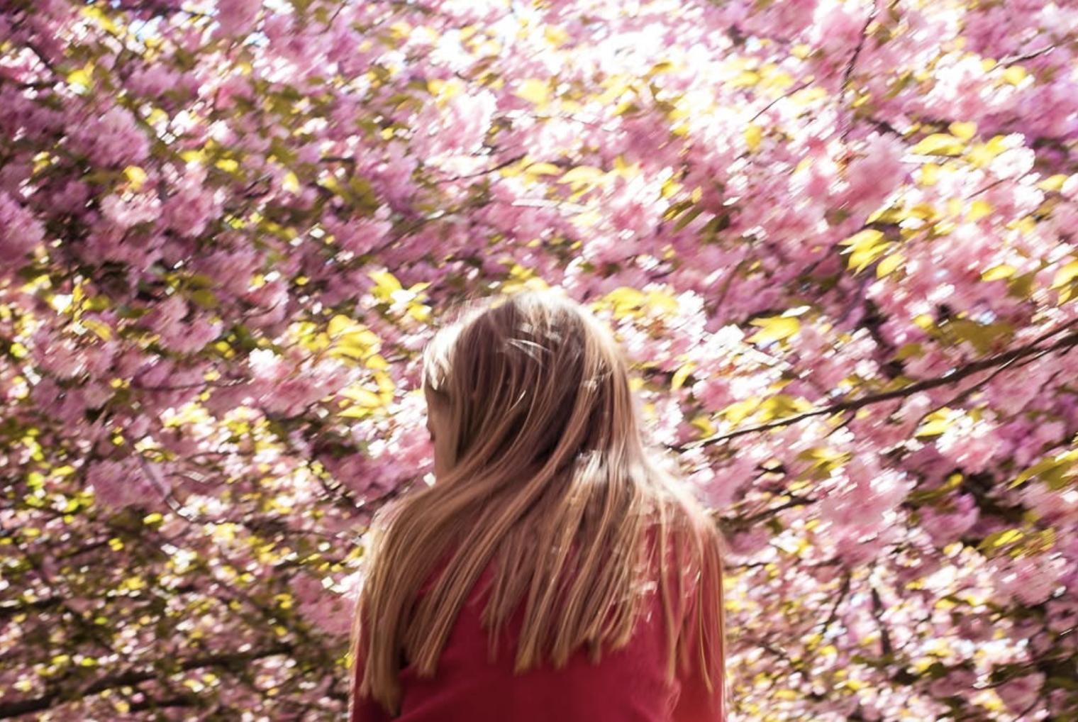 Screenshot 2026-03-30 at 7.53.05 AM.png