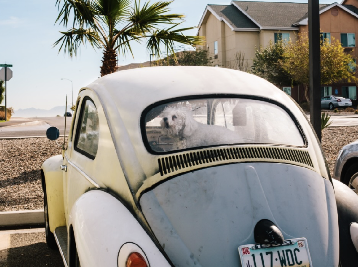 Screenshot 2026-03-30 at 7.44.03 AM.png