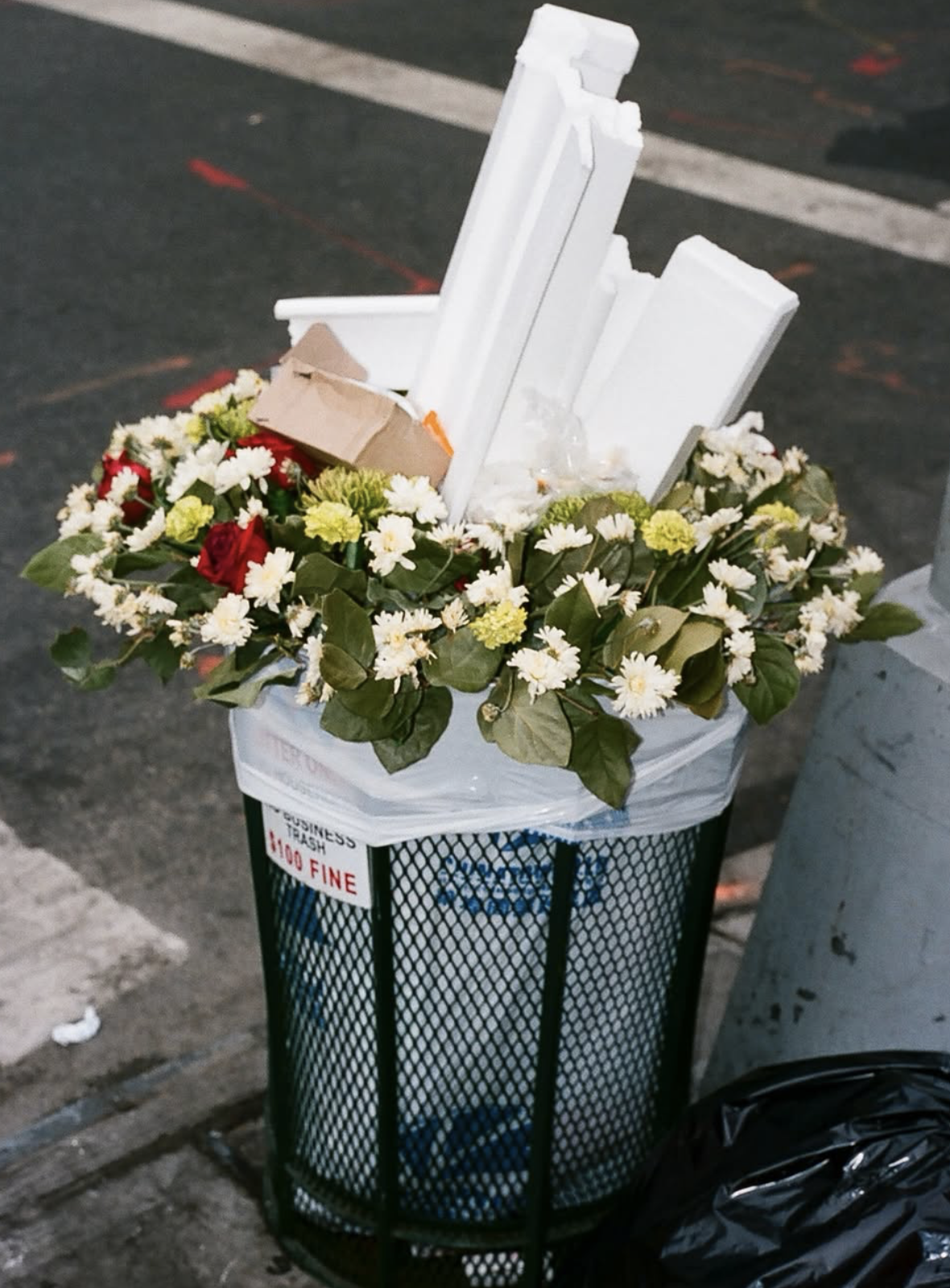 Screenshot 2026-03-30 at 7.48.44 AM.png