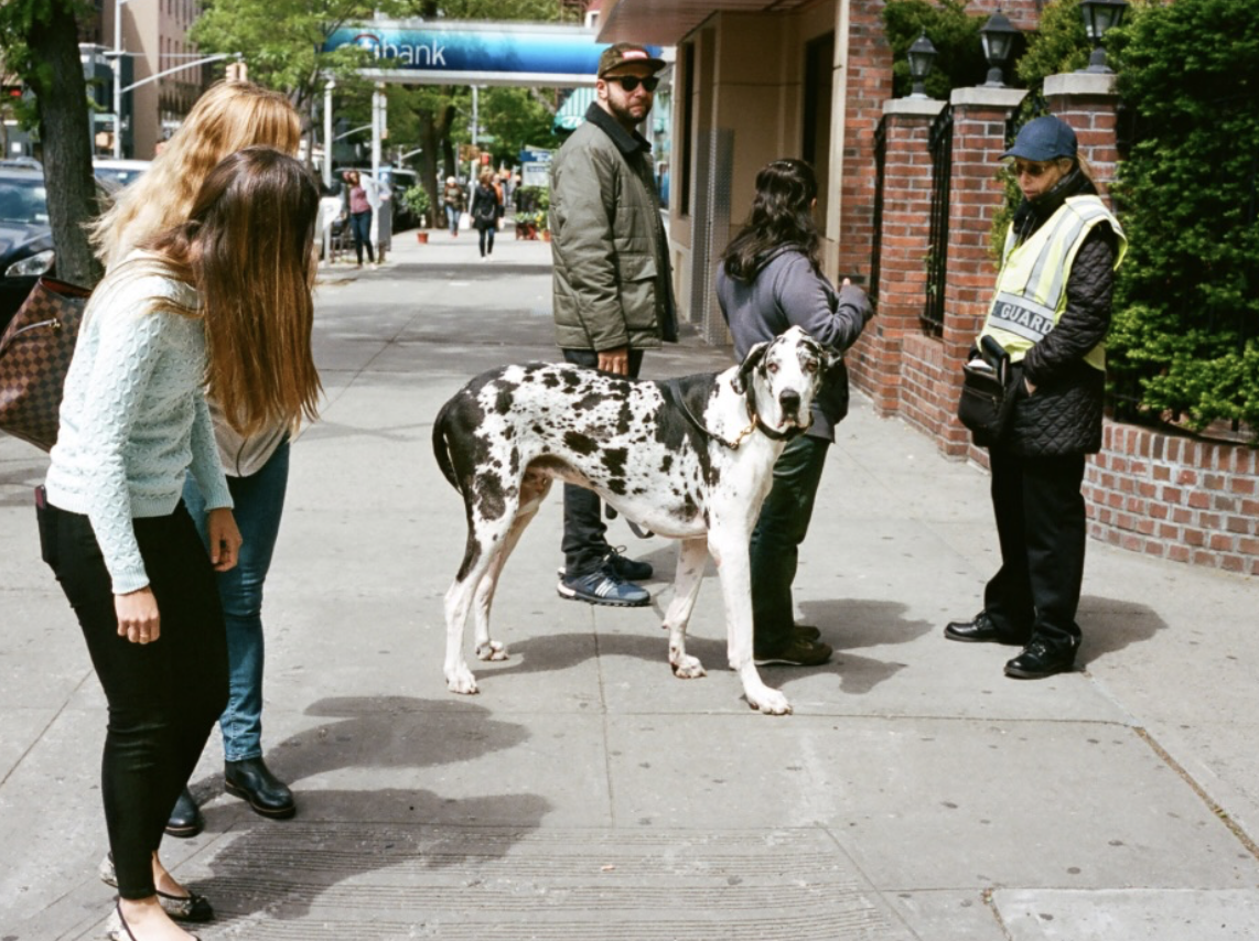 Screenshot 2026-03-30 at 7.43.54 AM.png