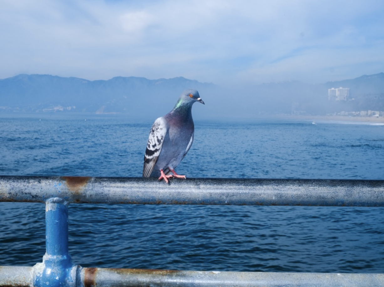 Screenshot 2026-03-30 at 8.09.22 AM.png