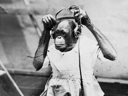 Episode 1: Monkey Business