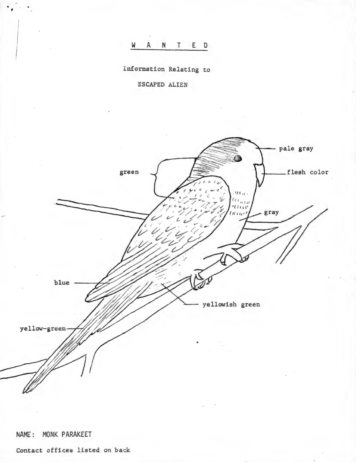 Episode 3: Parakeet Panic