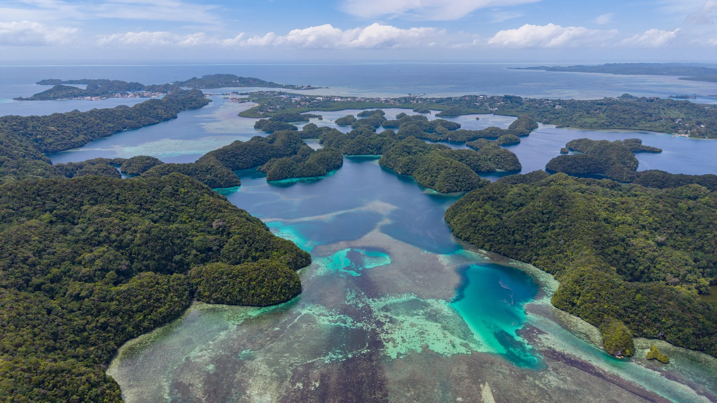 DJI_20260316132607_0113_D.jpg