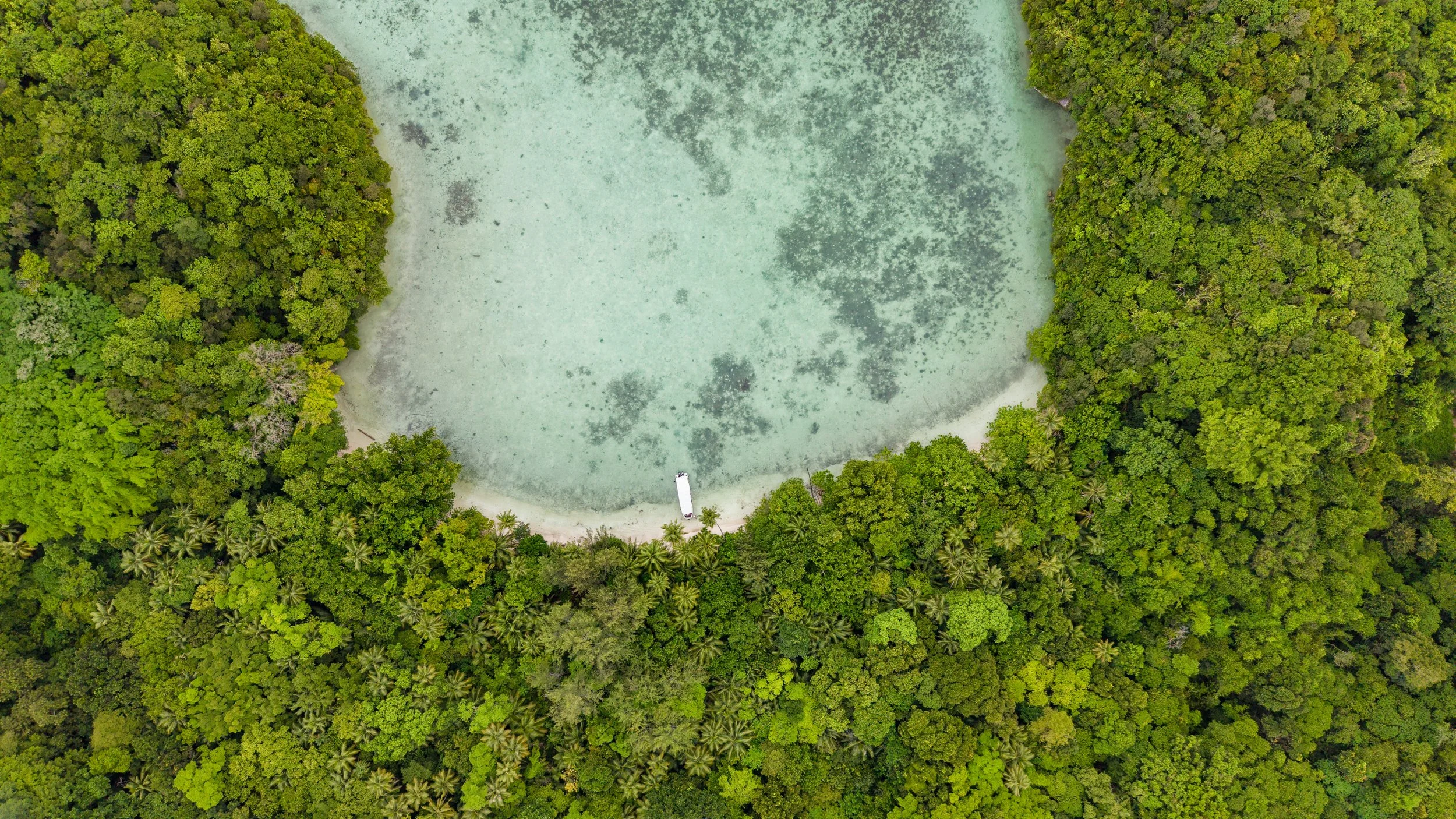 DJI_20260312115345_0084_D.jpg