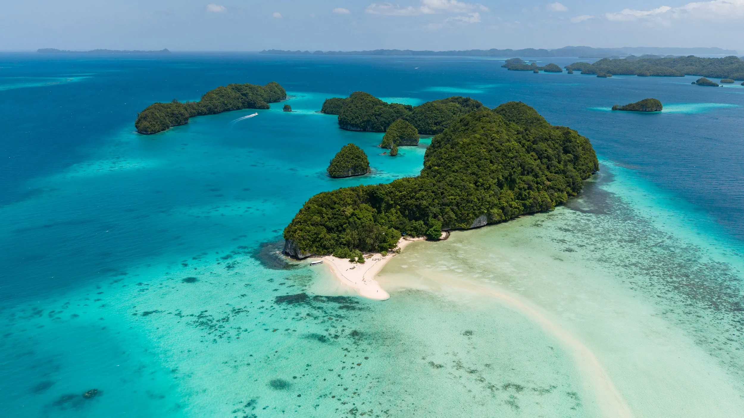 DJI_20260315114541_0095_D.jpg