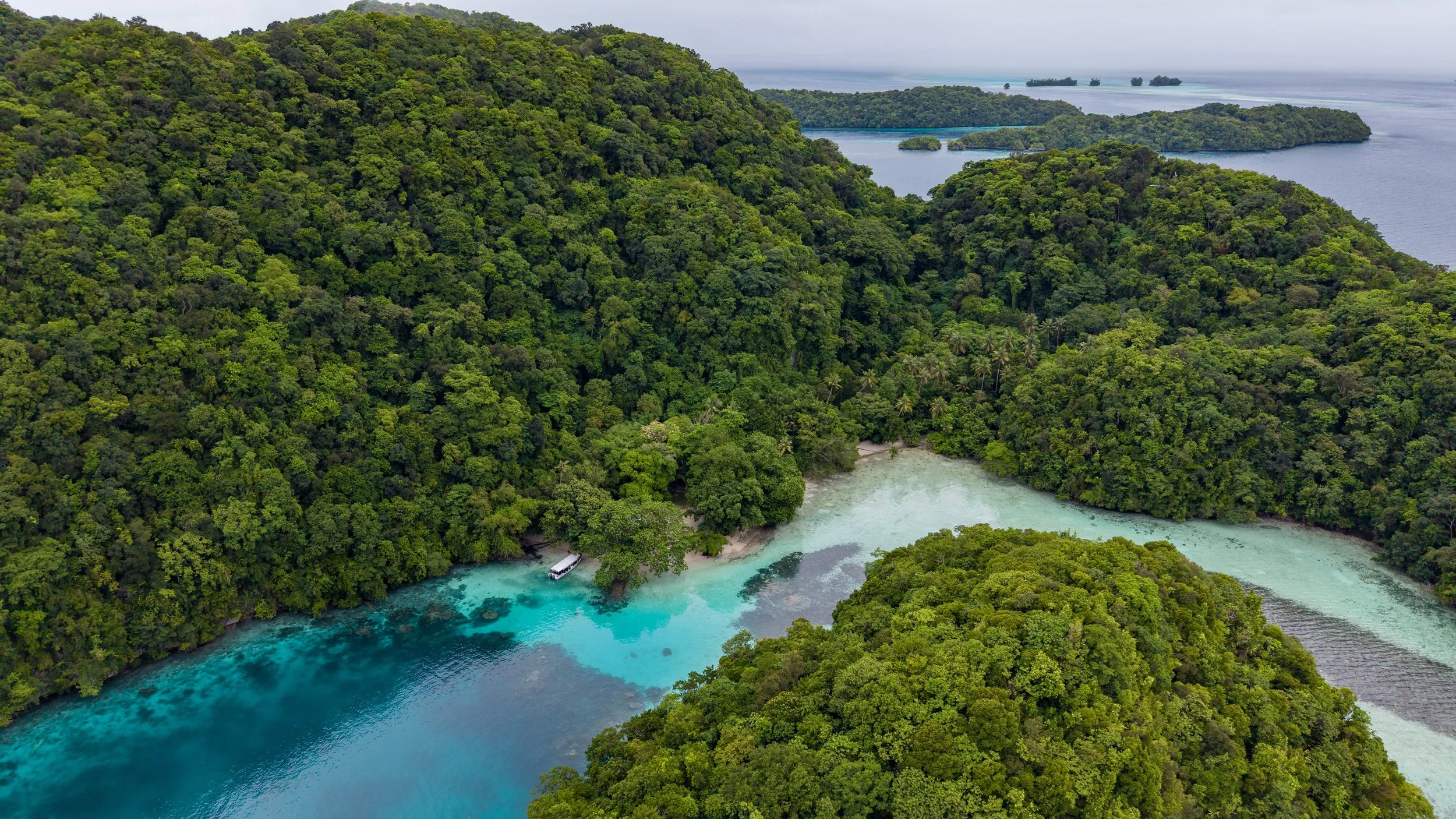 DJI_20260309134028_0066_D.jpg
