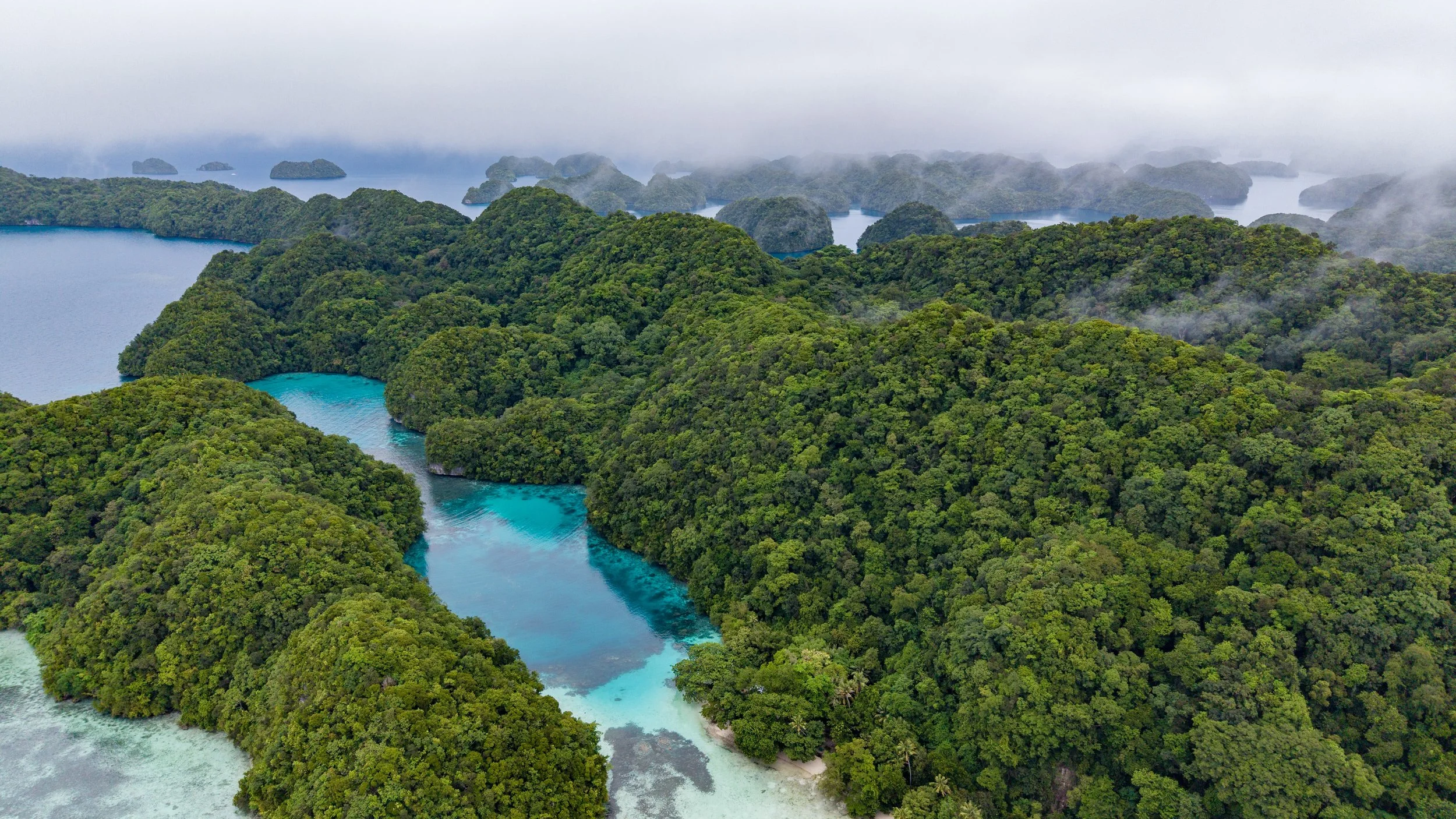DJI_20260309134200_0071_D.jpg