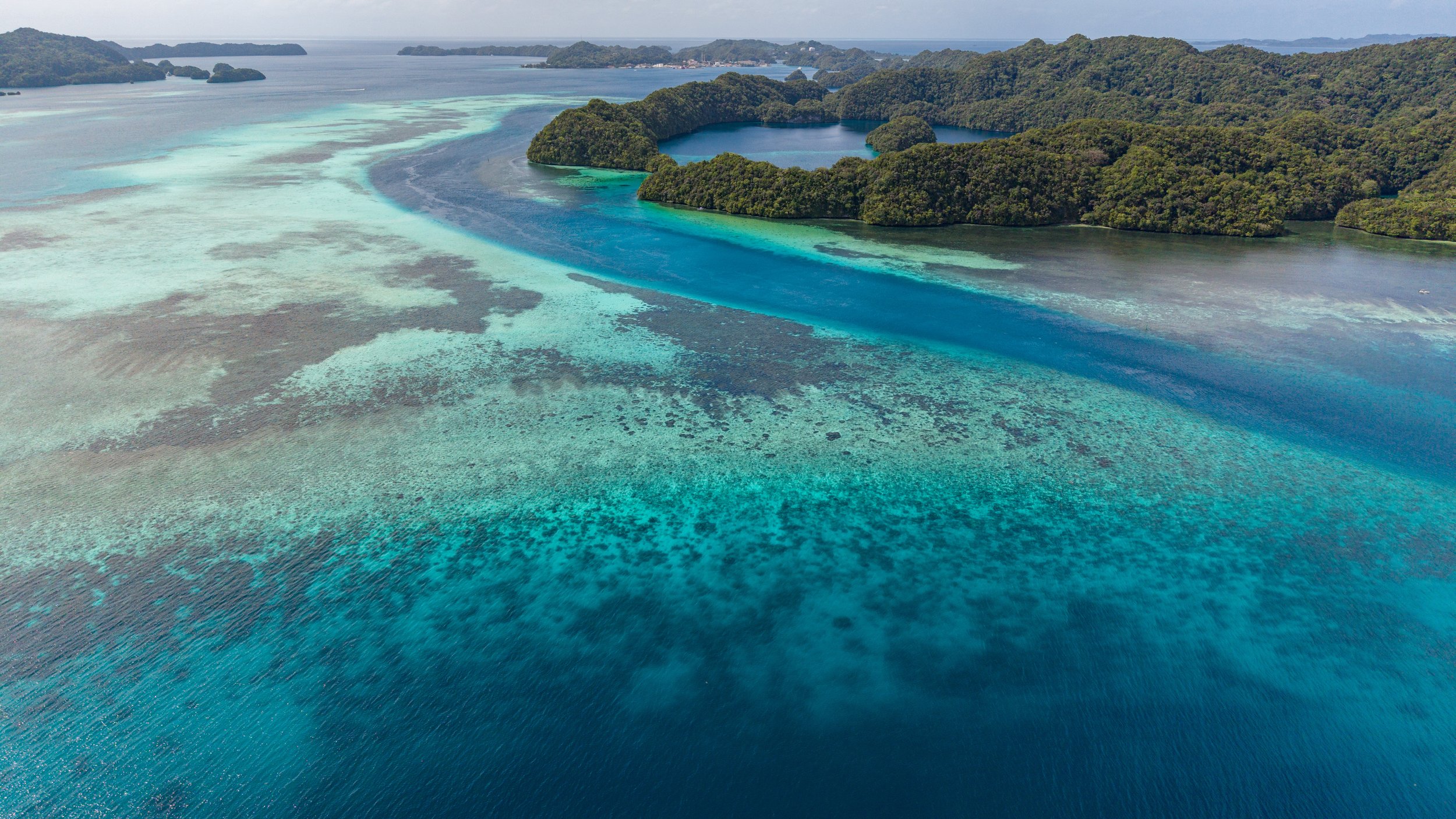 DJI_20260316144319_0124_D.jpg