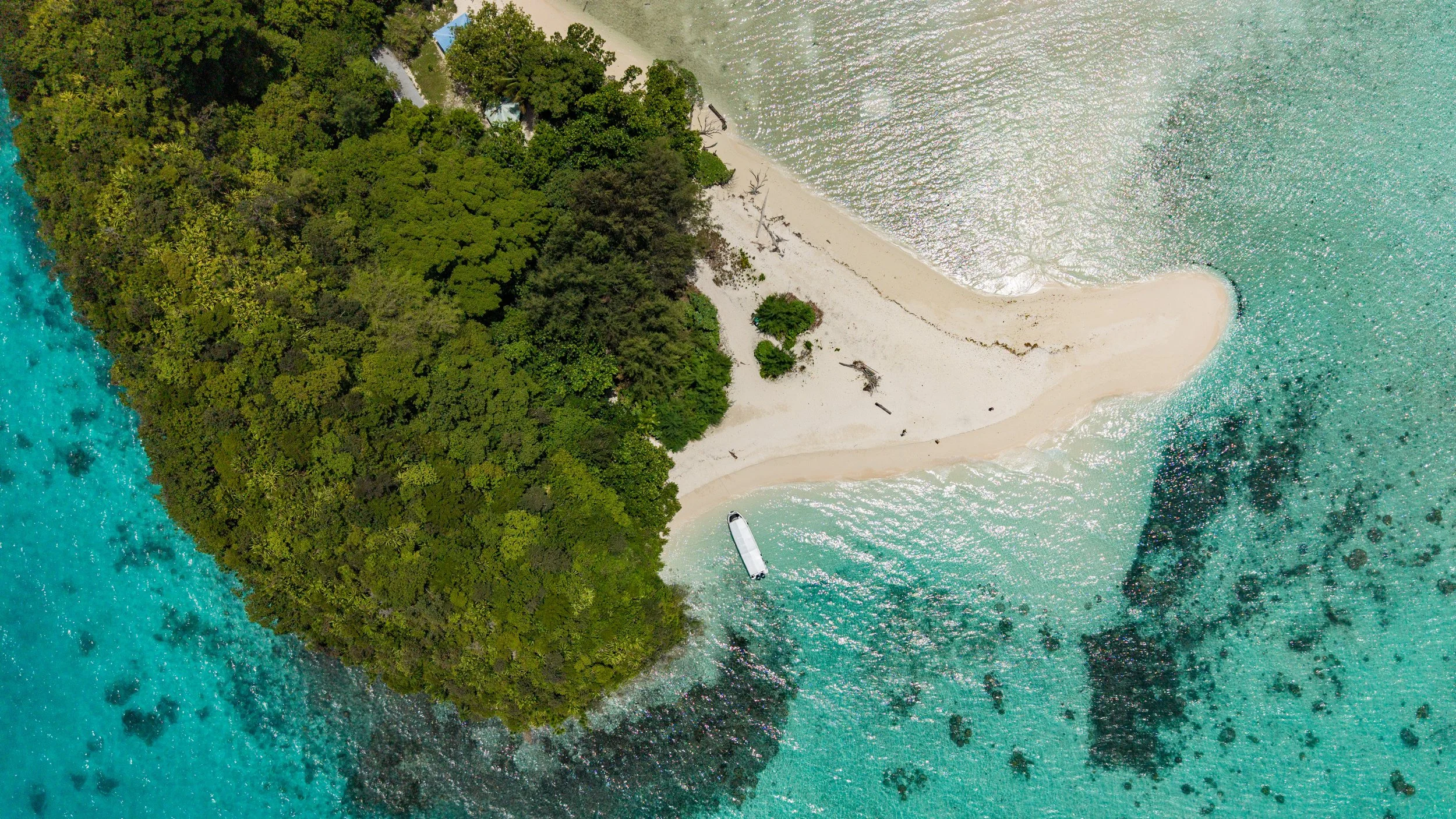 DJI_20260315114950_0101_D.jpg