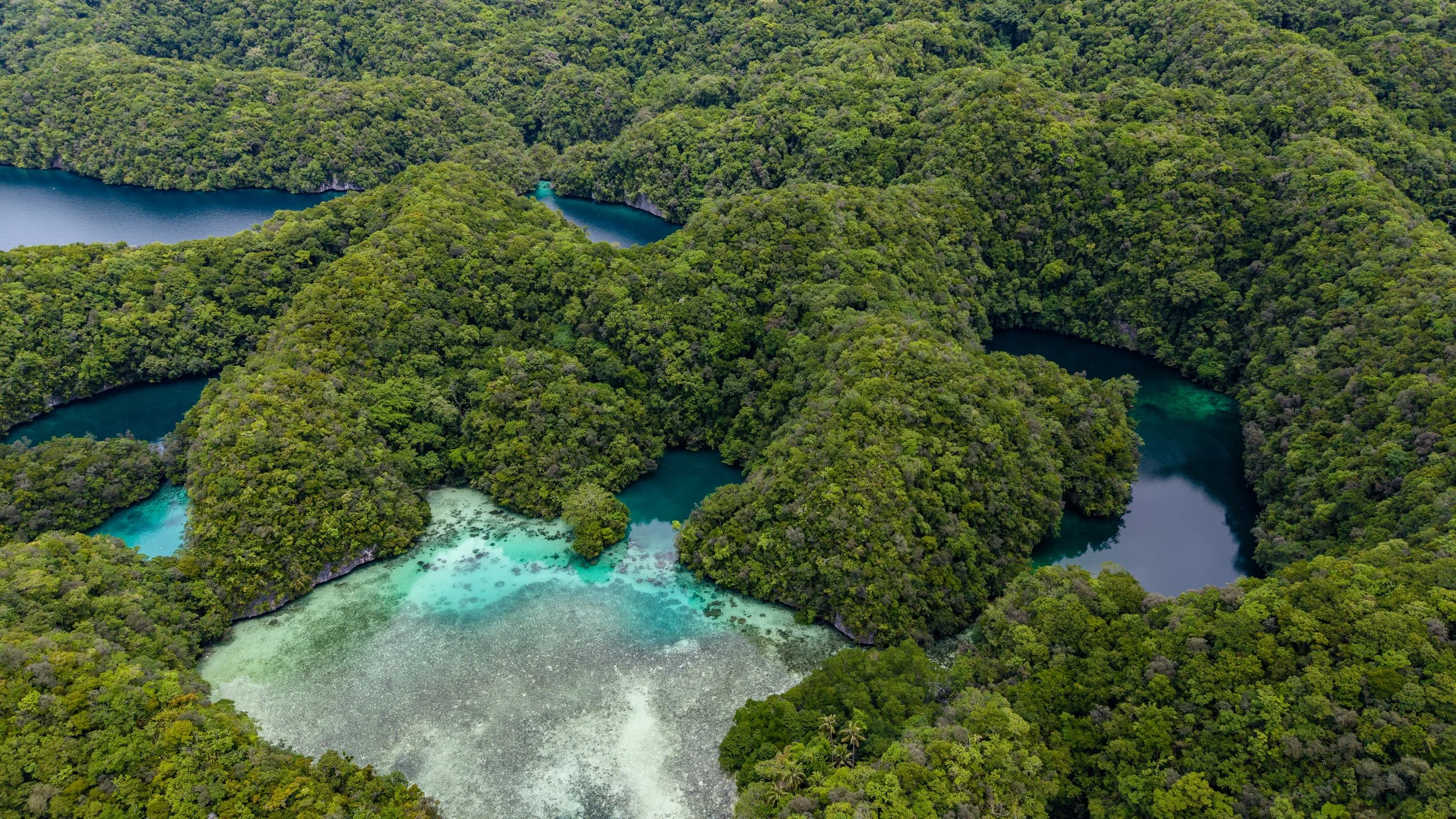 DJI_20260308115831_0062_D.jpg