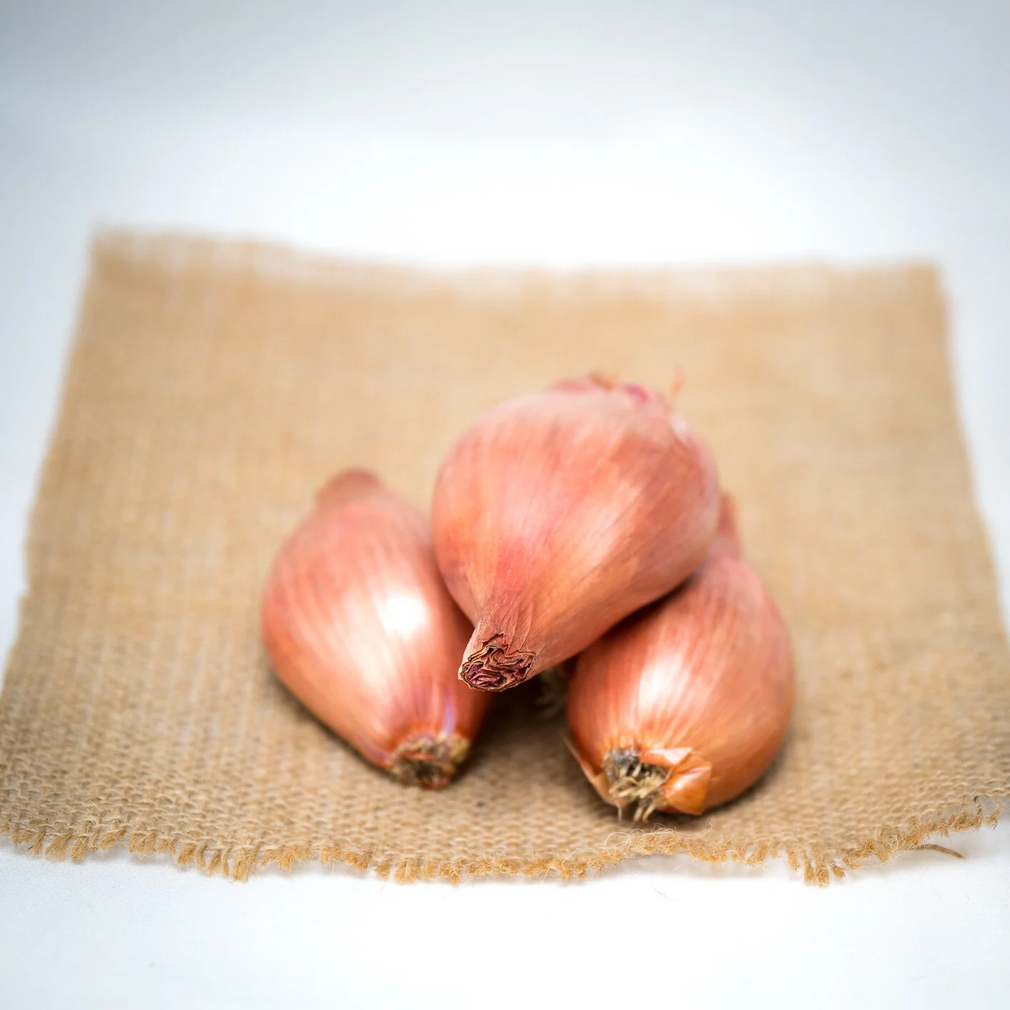 Shallots, Zephyr Farm Cranston RI