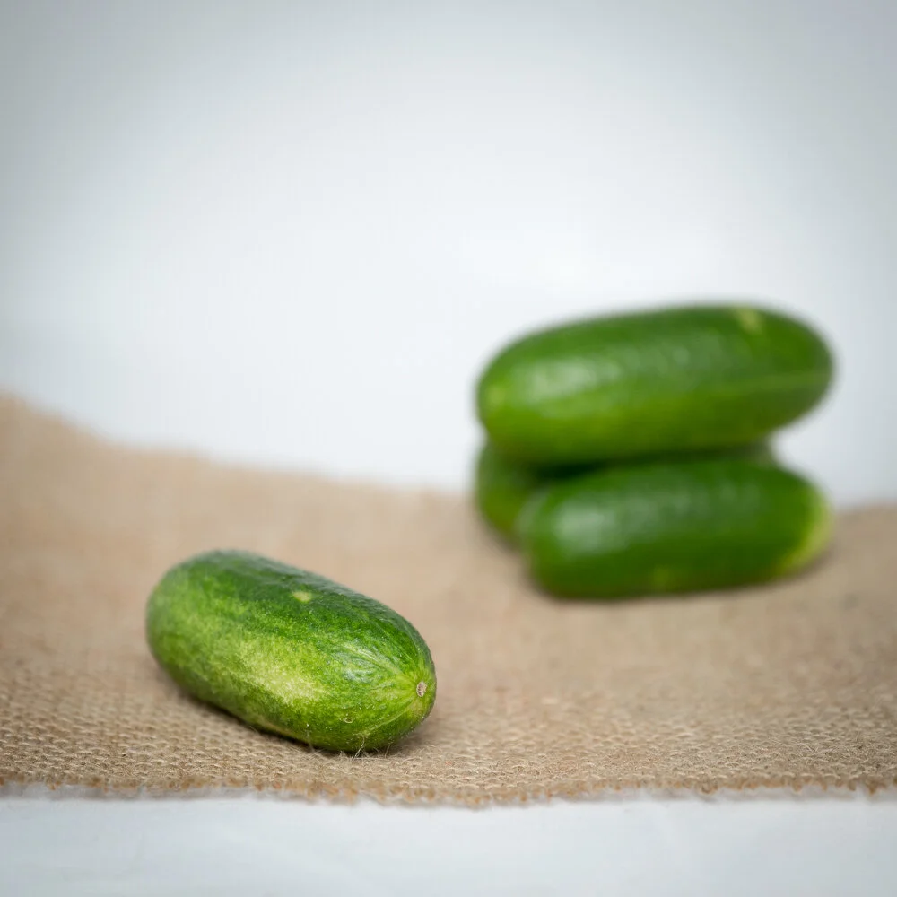 Cucumber - Pickling